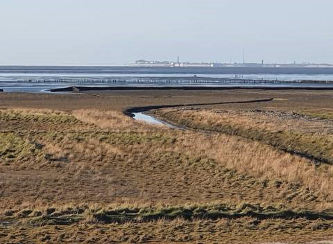 Natuurhuisje in Uithuizen