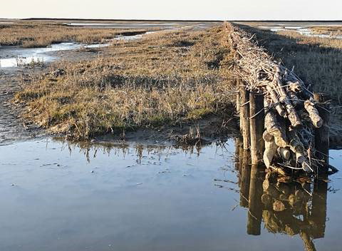 Natuurhuisje in Uithuizen