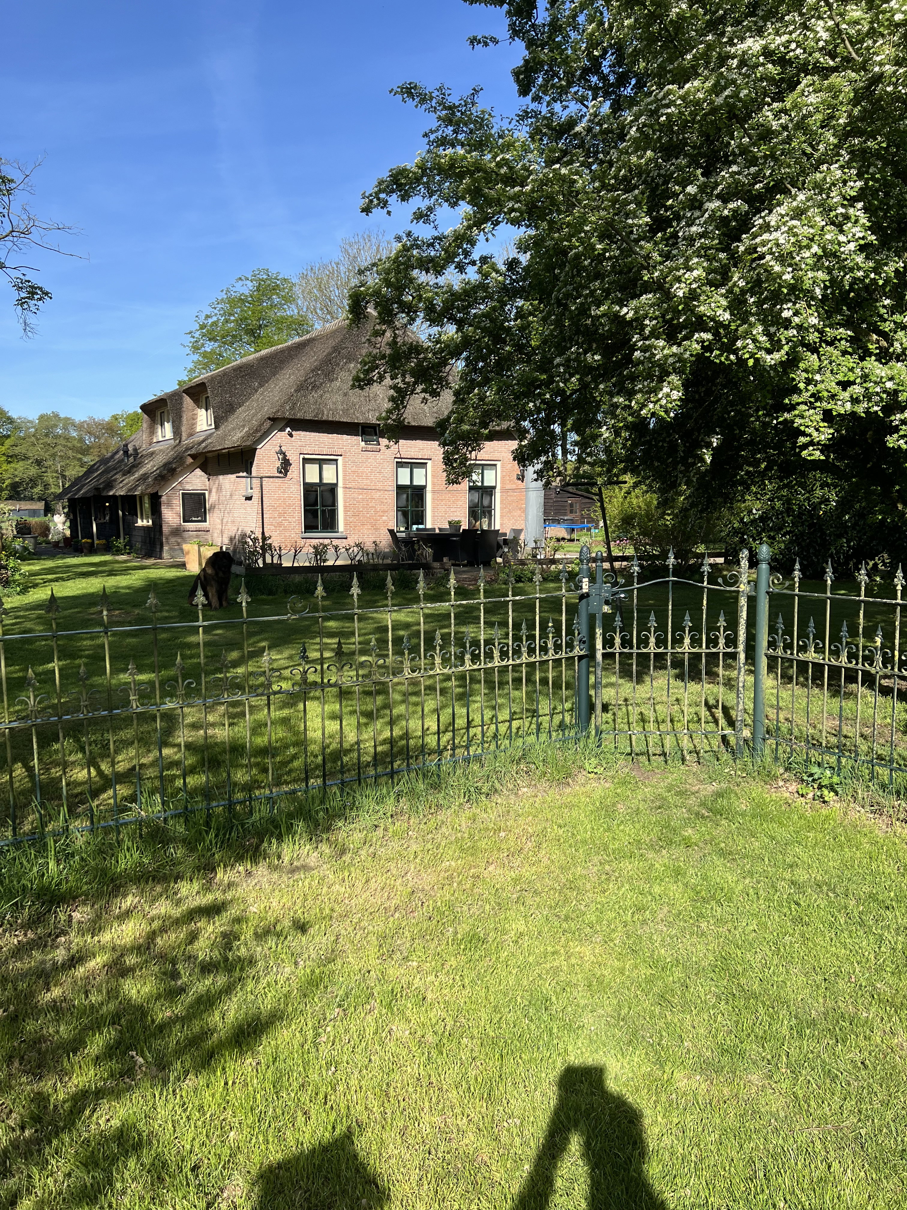Casa nella natura a Balkbrug