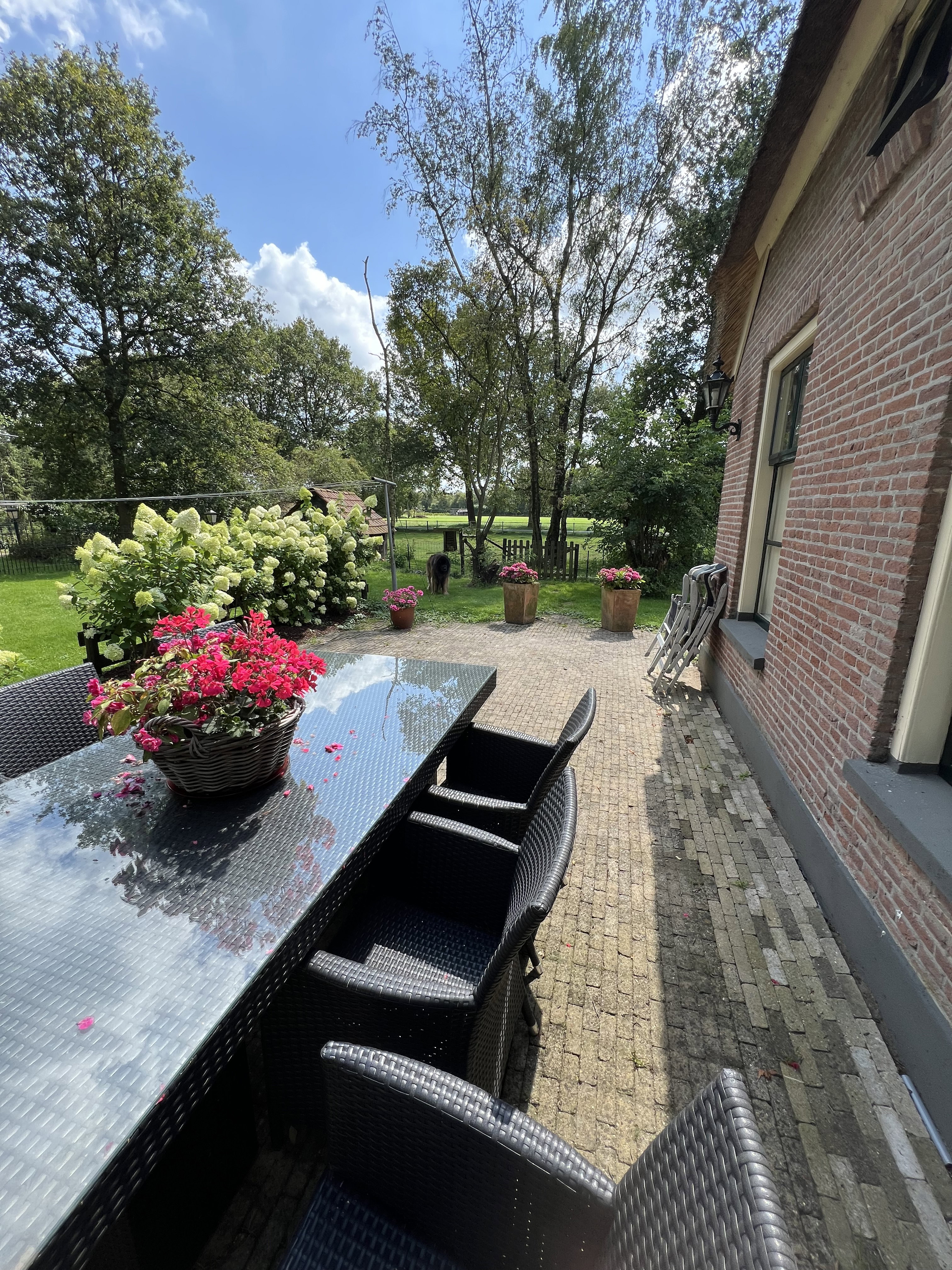 Casa nella natura a Balkbrug