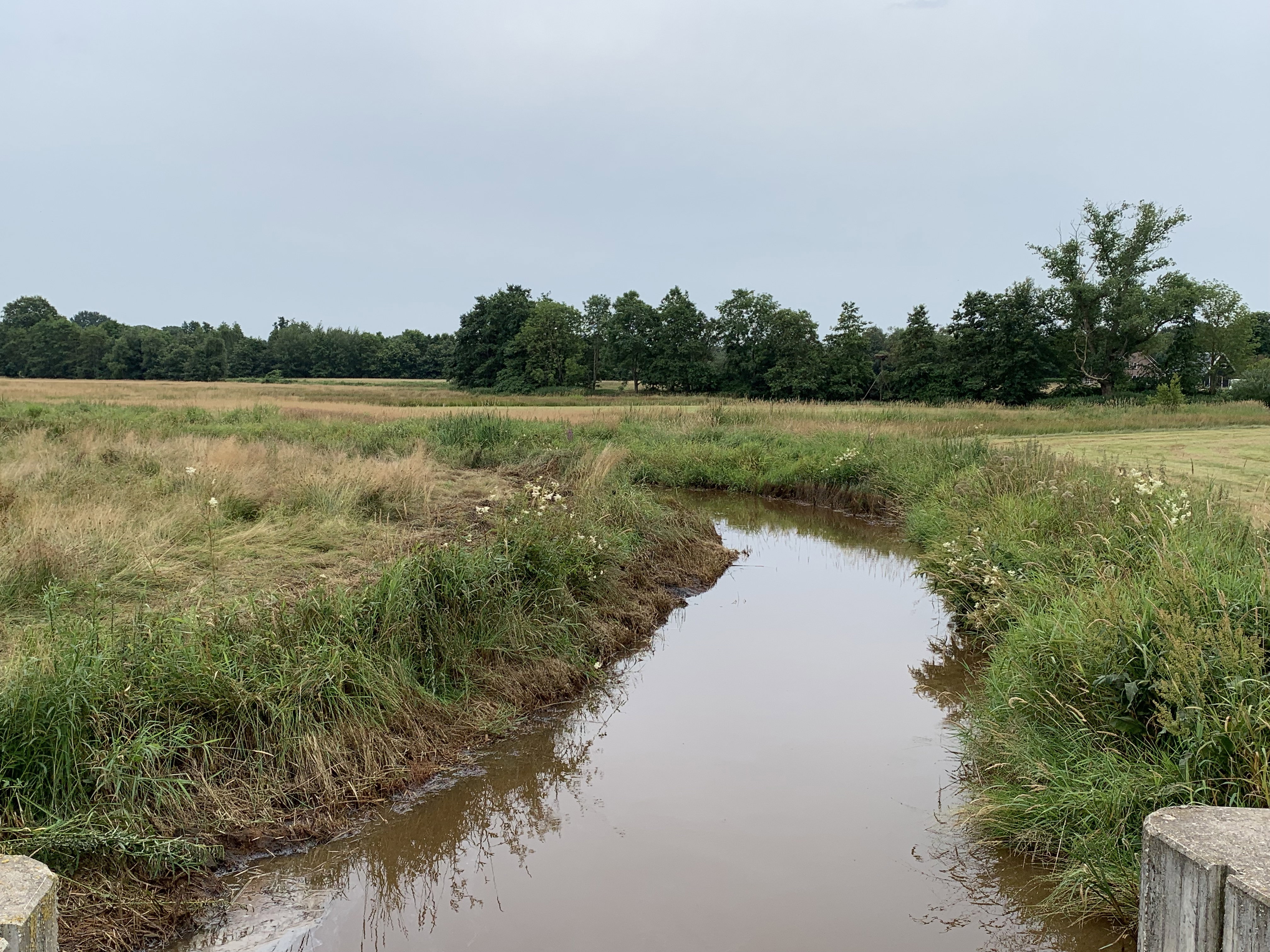 Natuurhuisje in Balkbrug