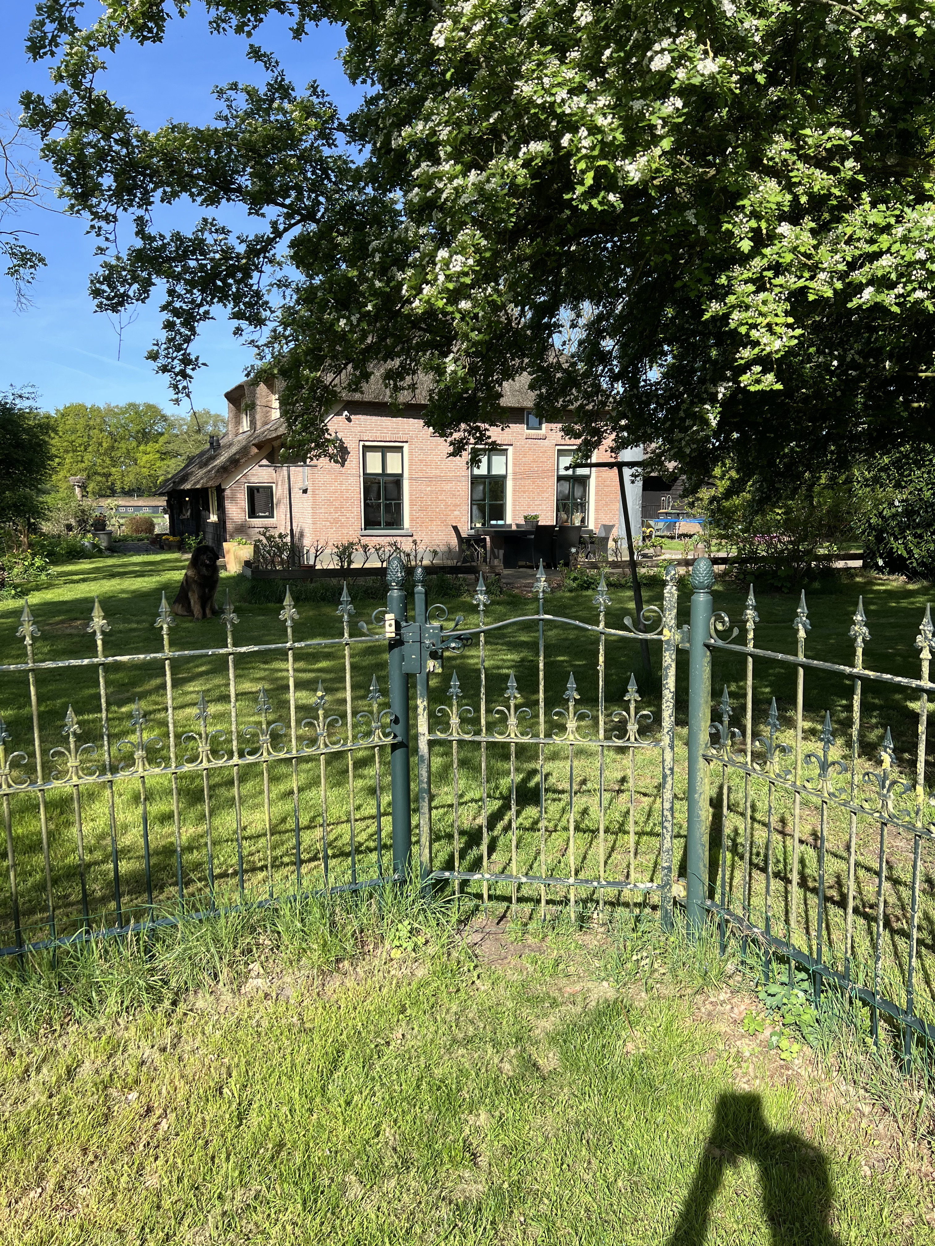 Casa nella natura a Balkbrug