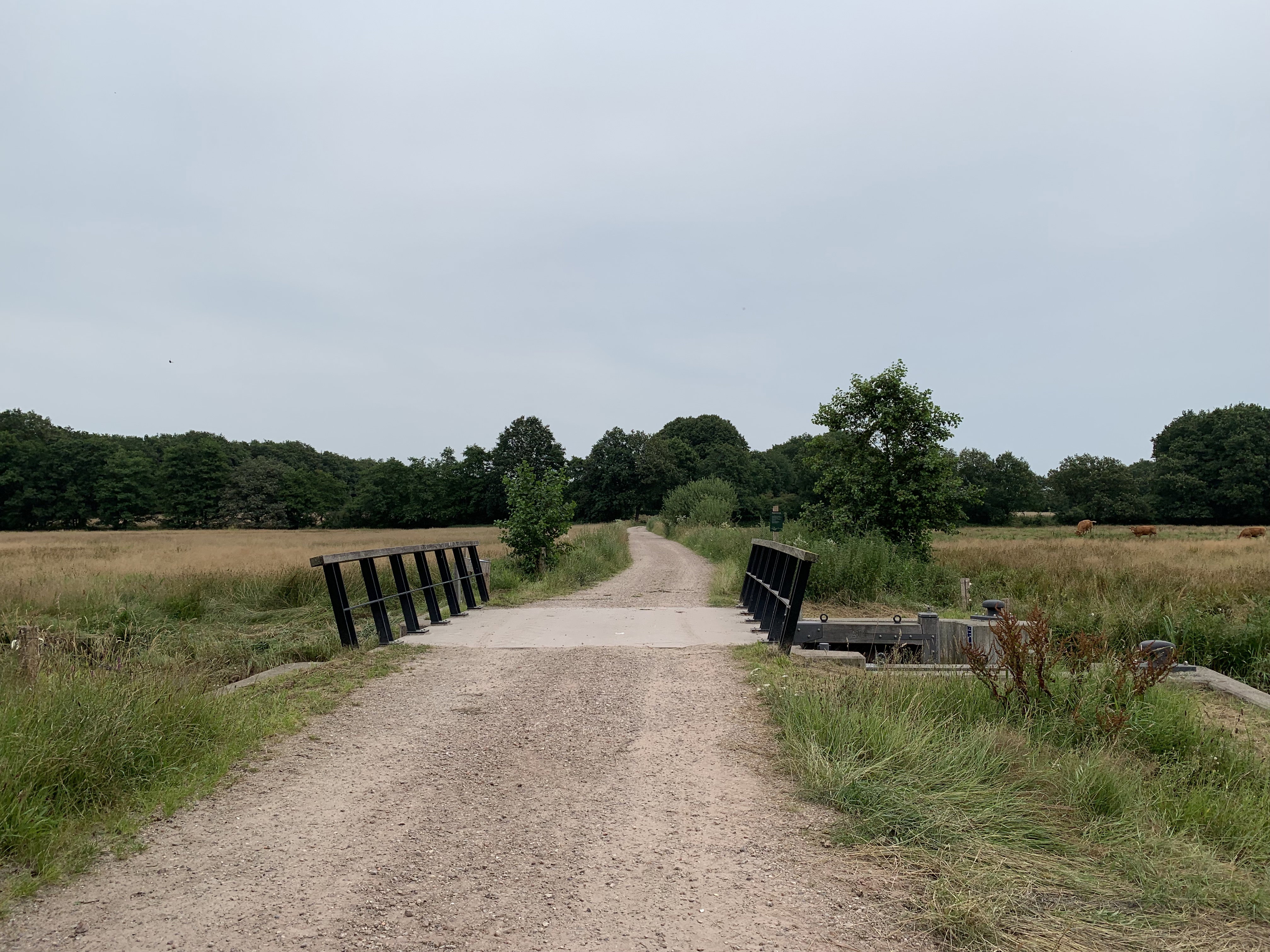 Natuurhuisje in Balkbrug