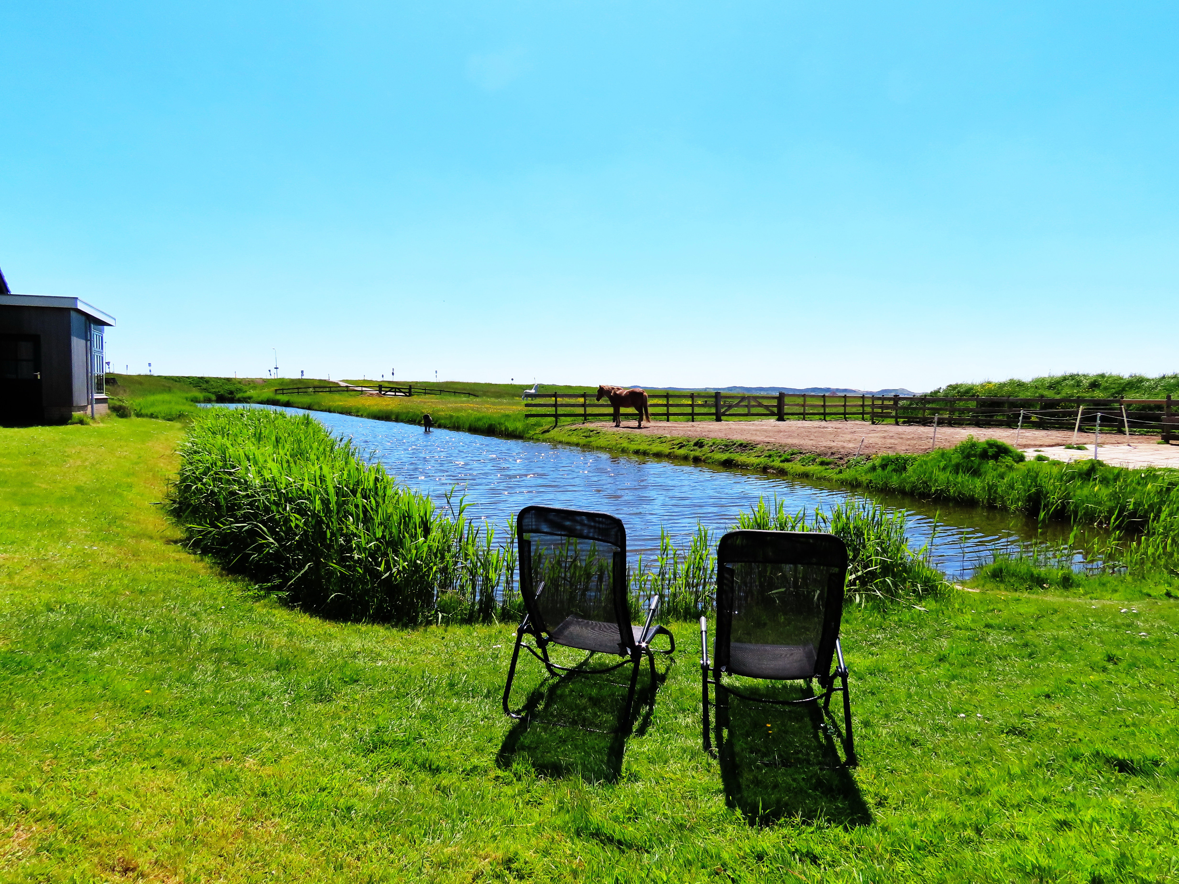 Maison nature à Petten