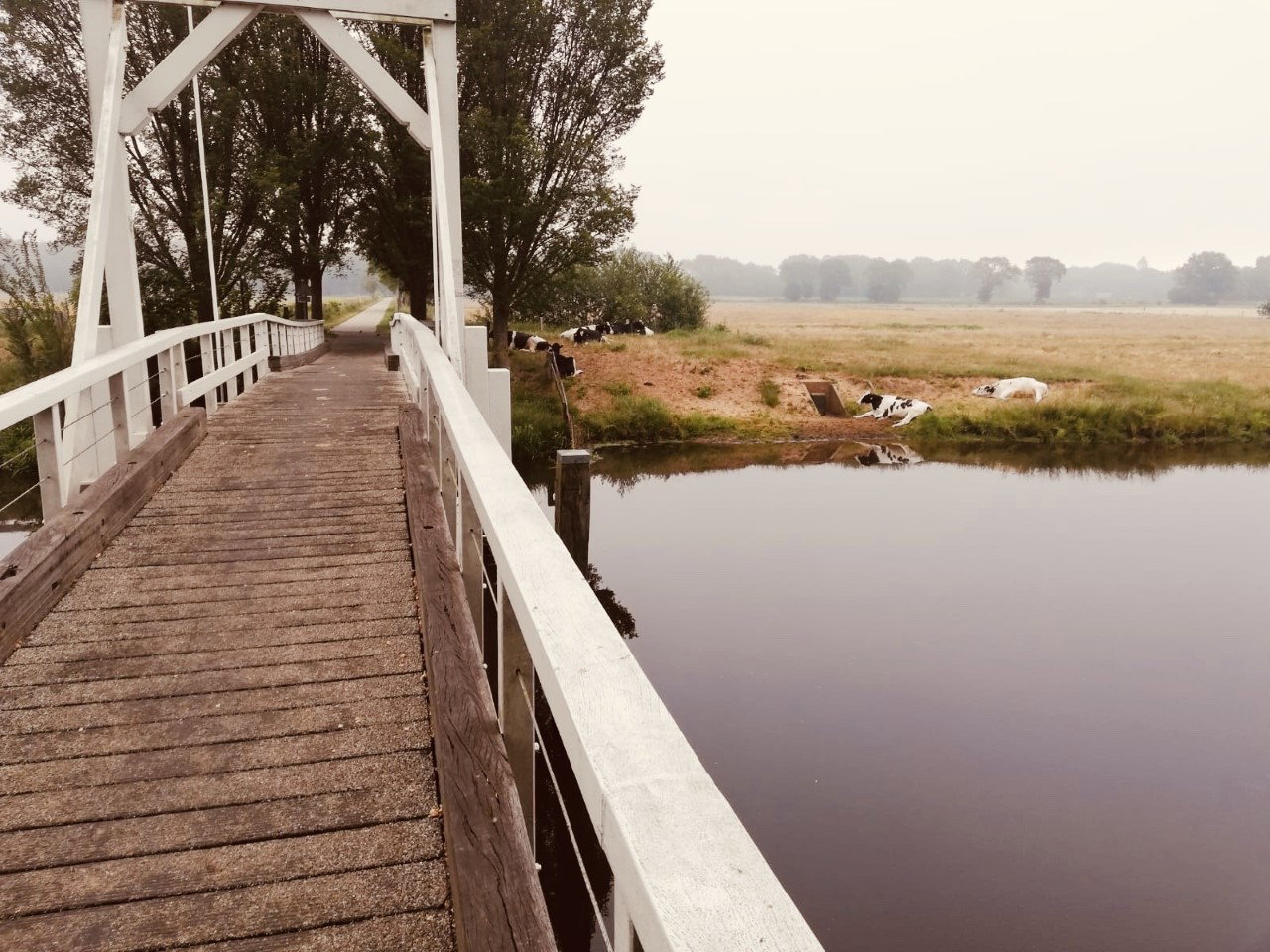 Natuurhuisje in Giethmen