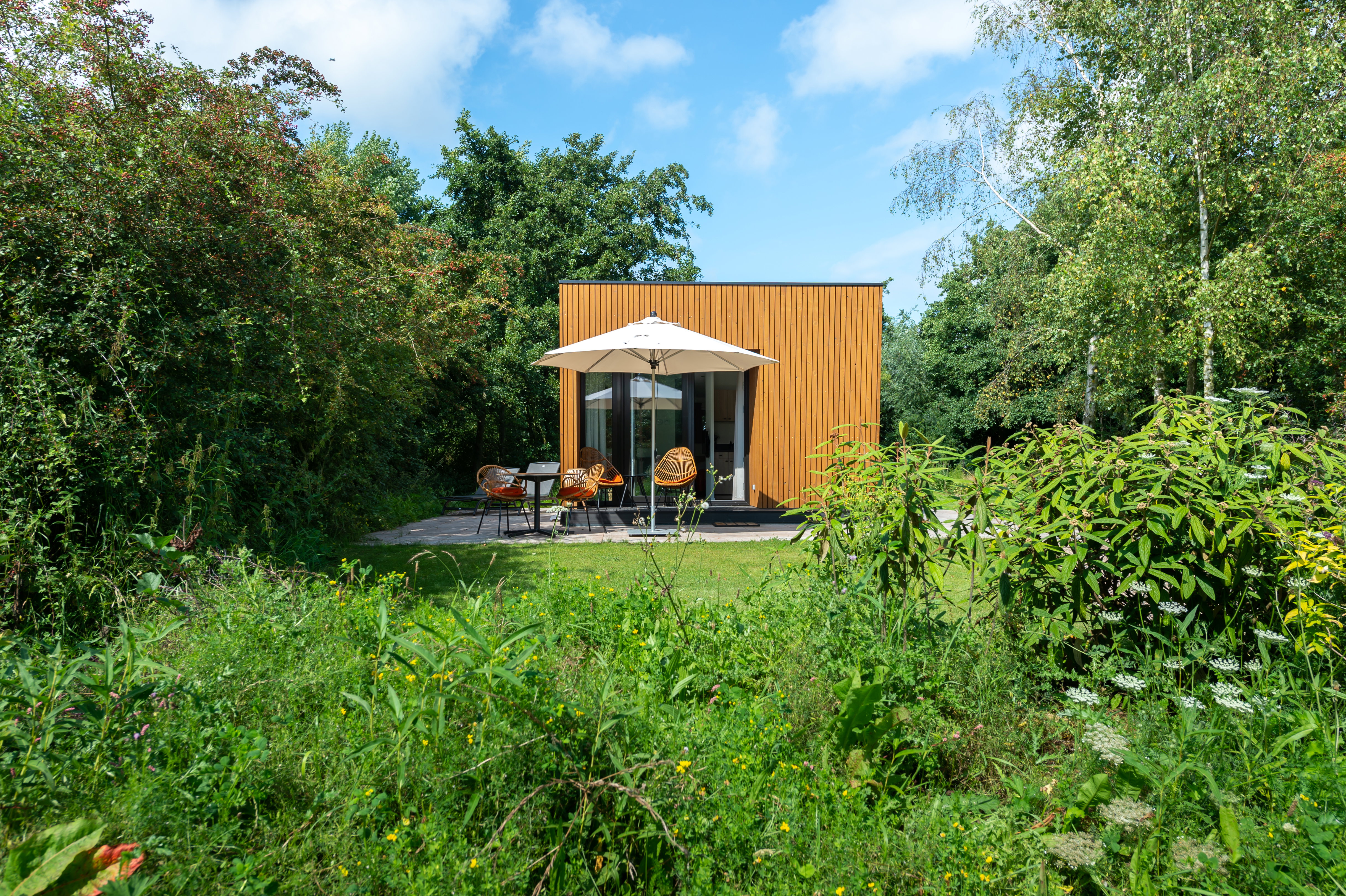 Maison nature à Burgh- Haamstede