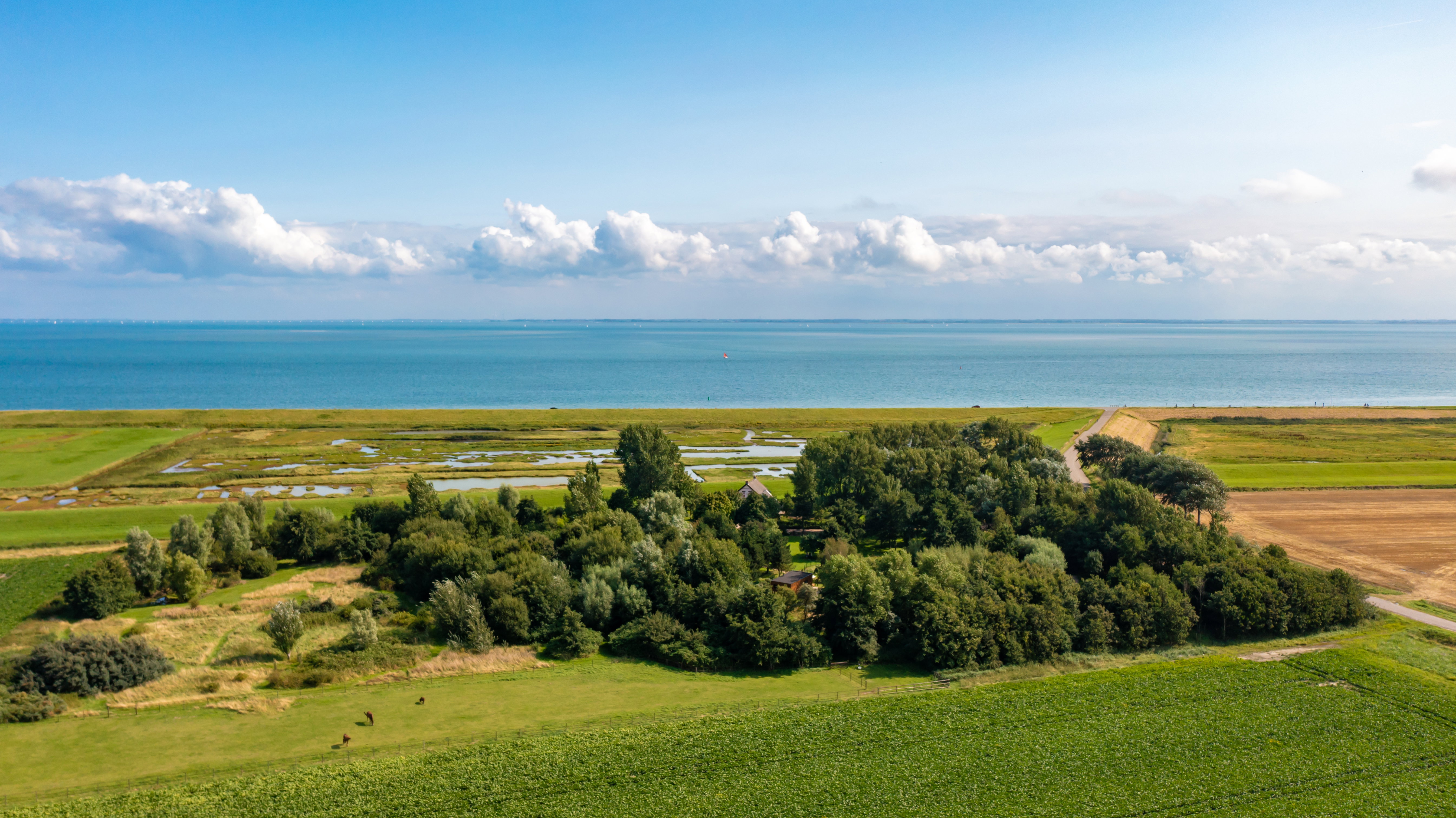 Maison nature à Burgh- Haamstede