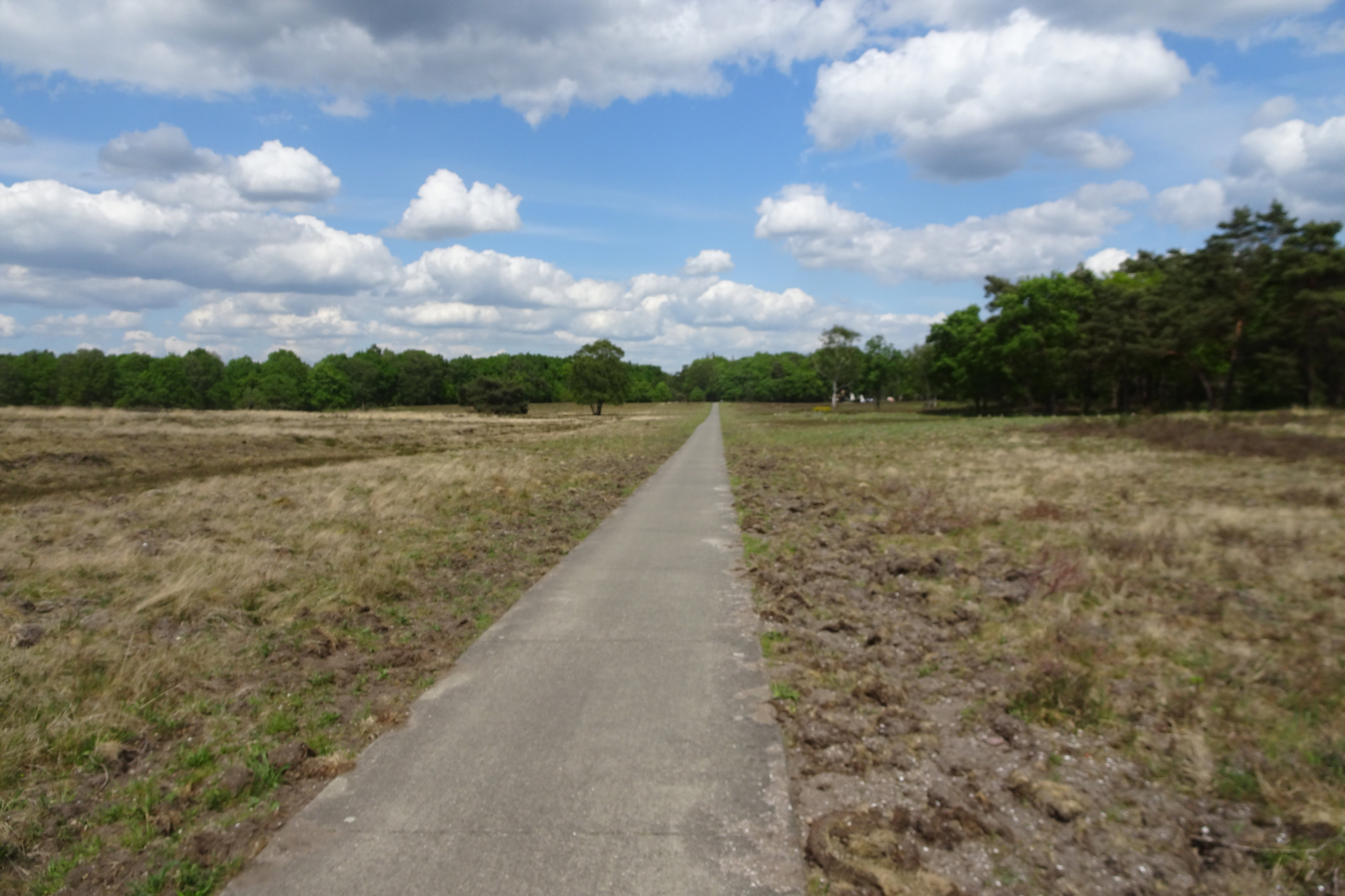 Natuurhuisje in Vierhouten