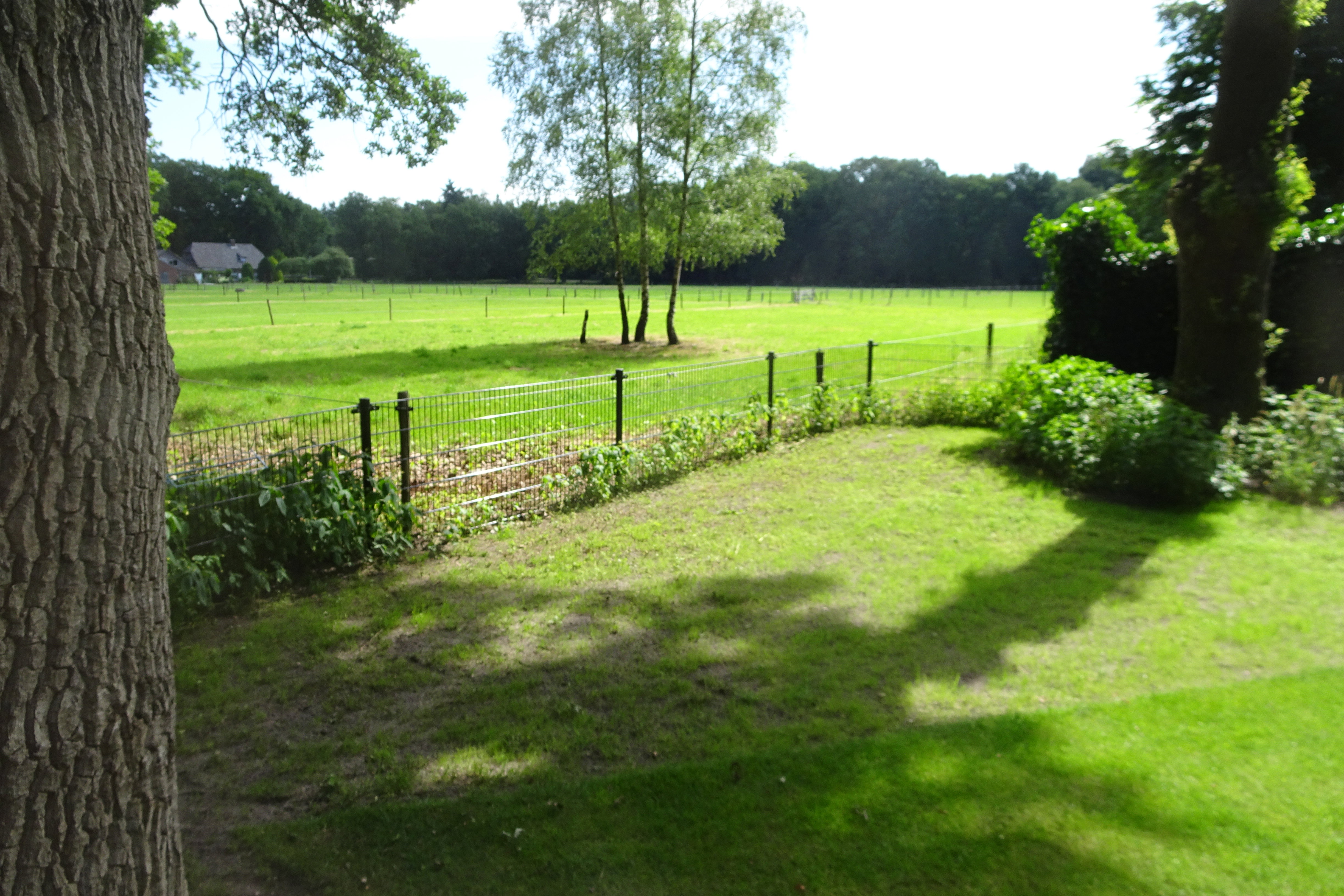 Natuurhuisje in Vierhouten