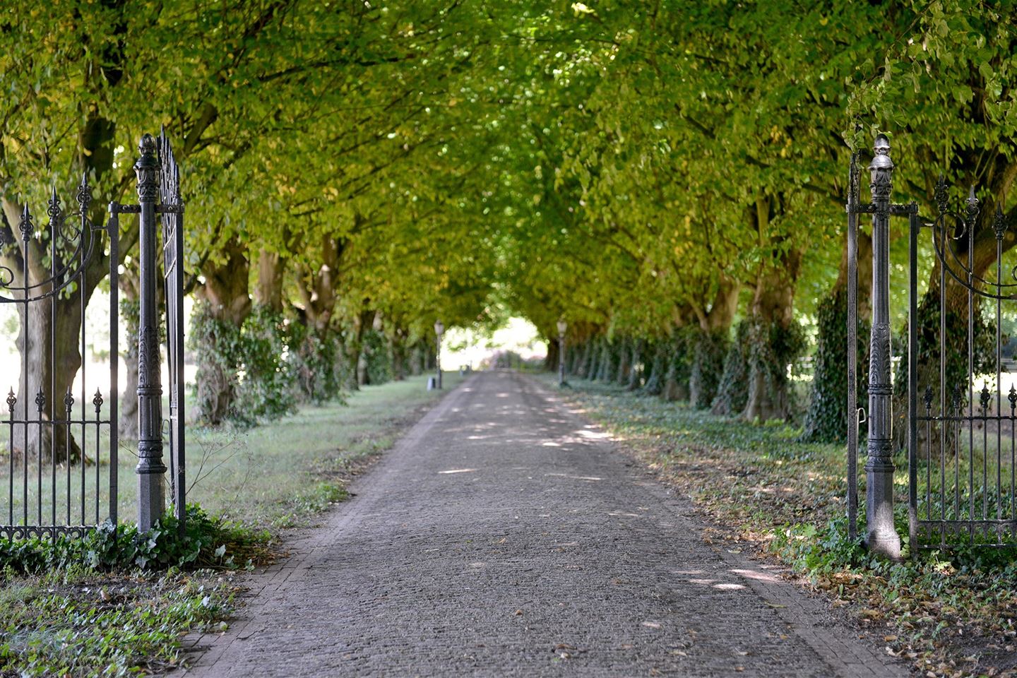 Nature house in Schouwen-Duiveland