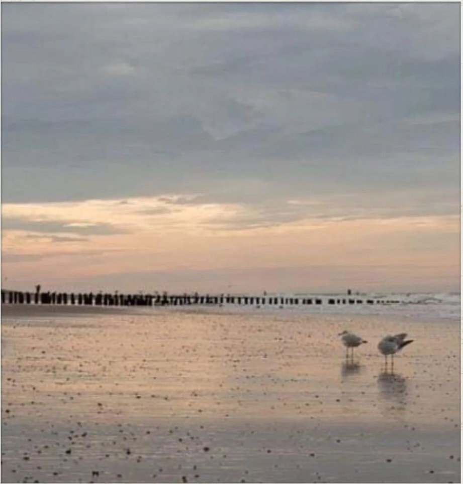 - image: 26