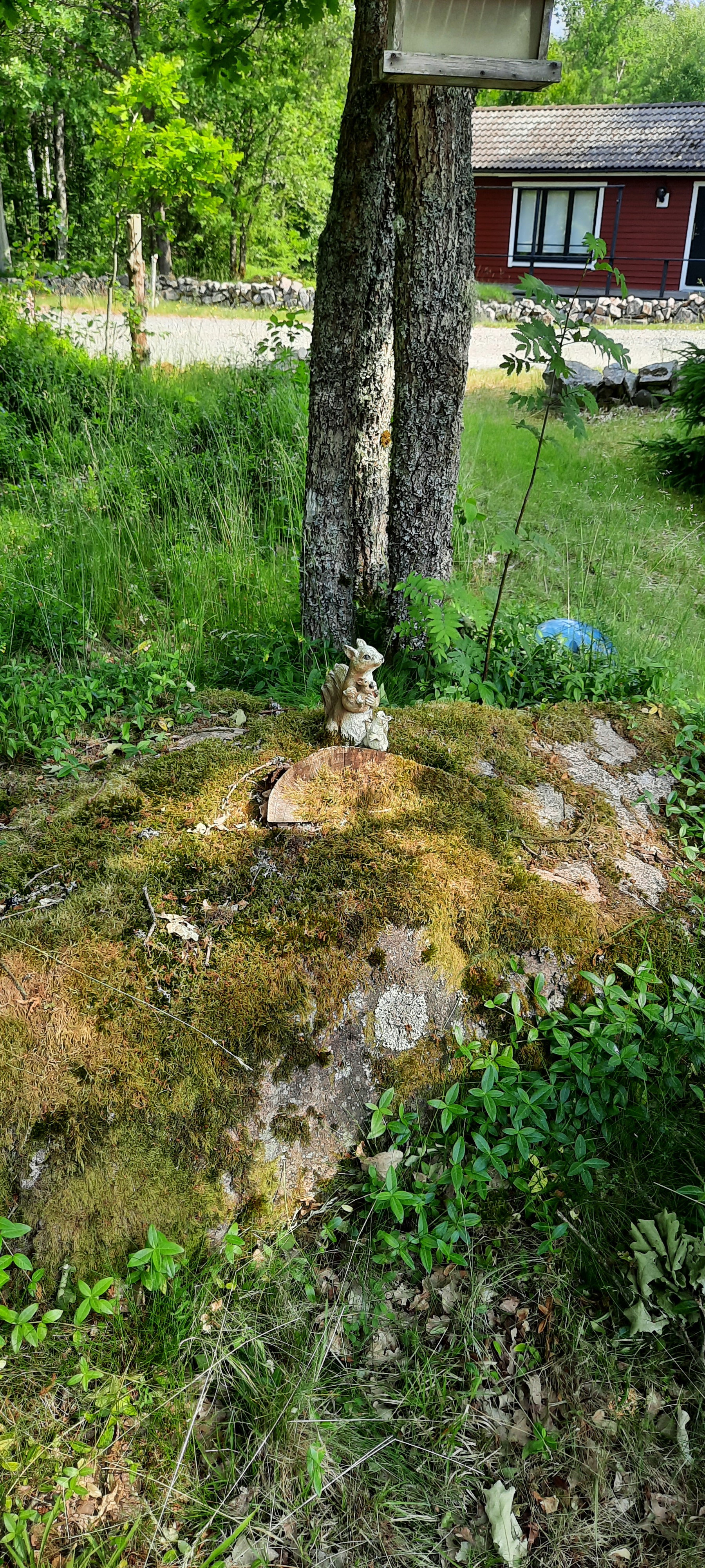 - image: 13
