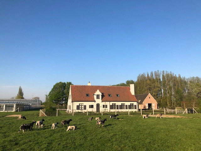 Naturhäuschen in Harelbeke
