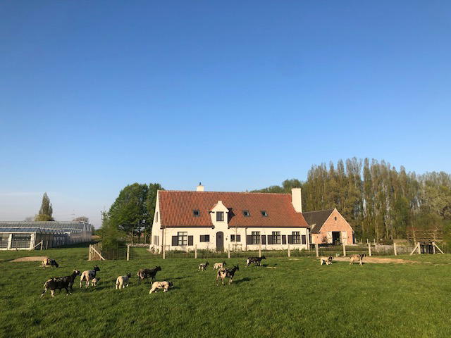 Nature house in Harelbeke