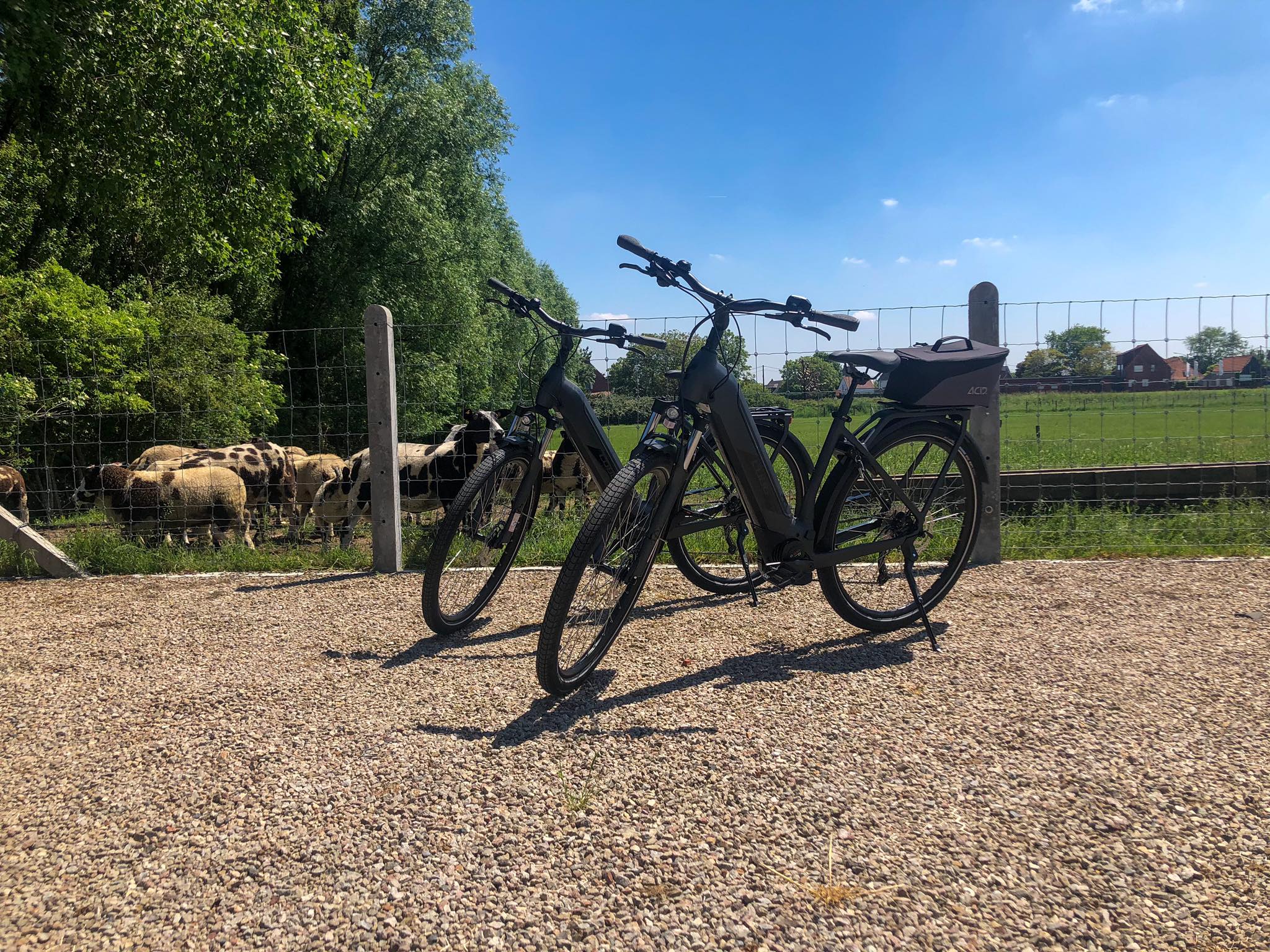 Naturhäuschen in Harelbeke