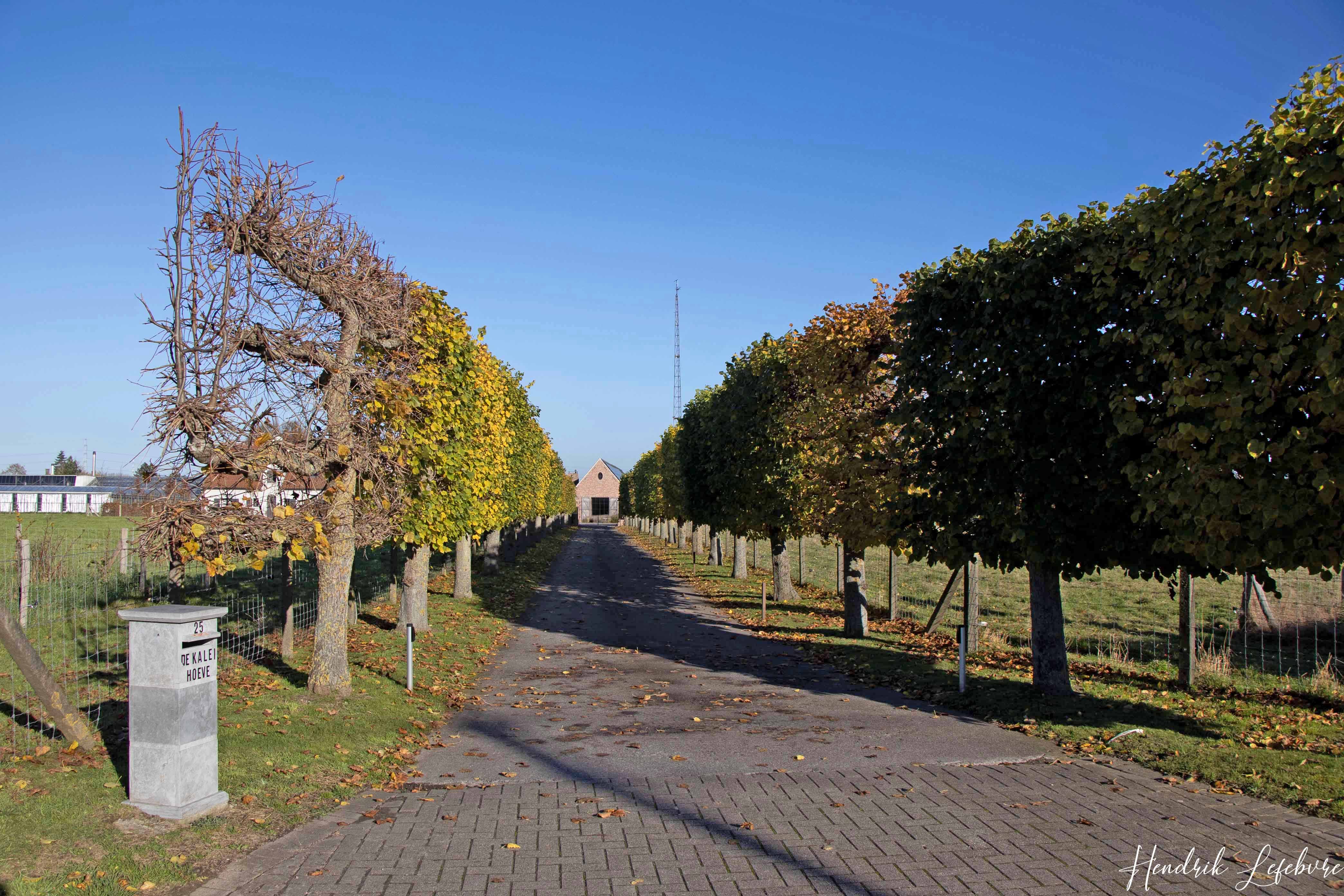 Naturhäuschen in Harelbeke