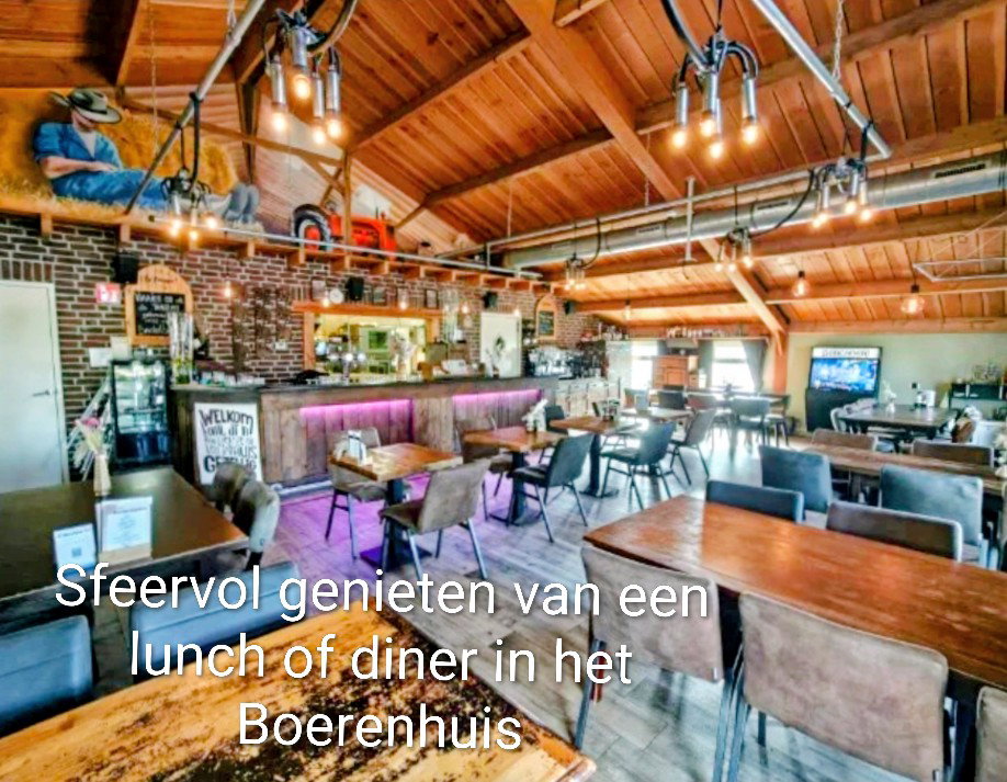 - image: 24