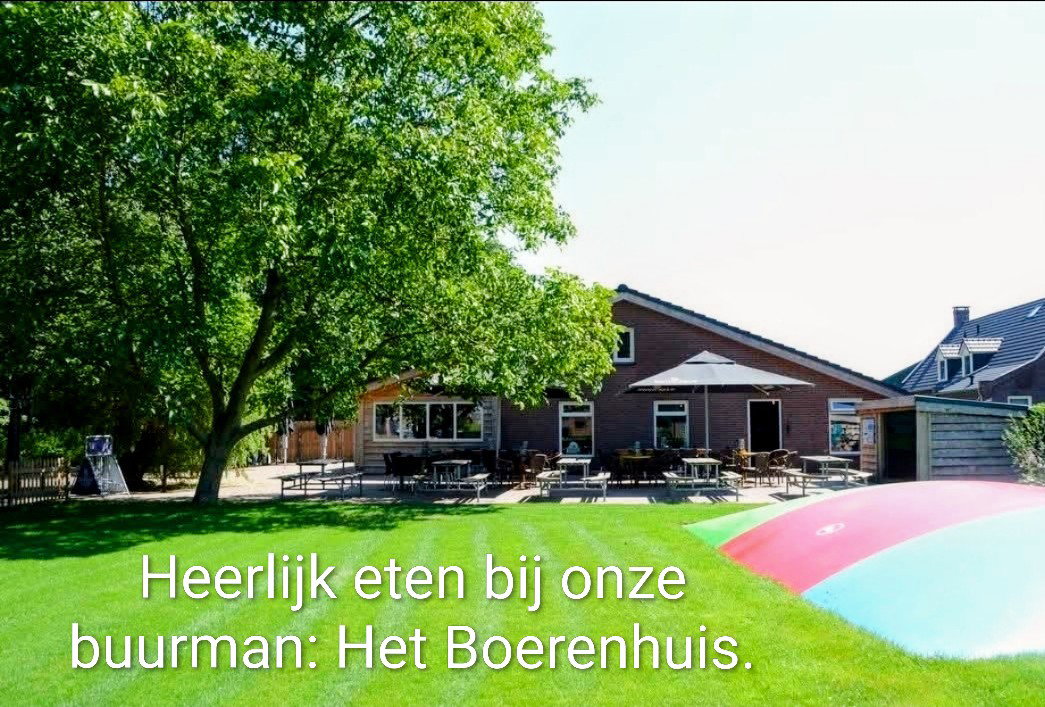 - image: 25
