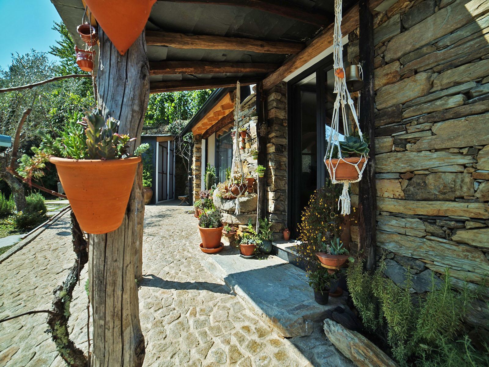 - image: 12