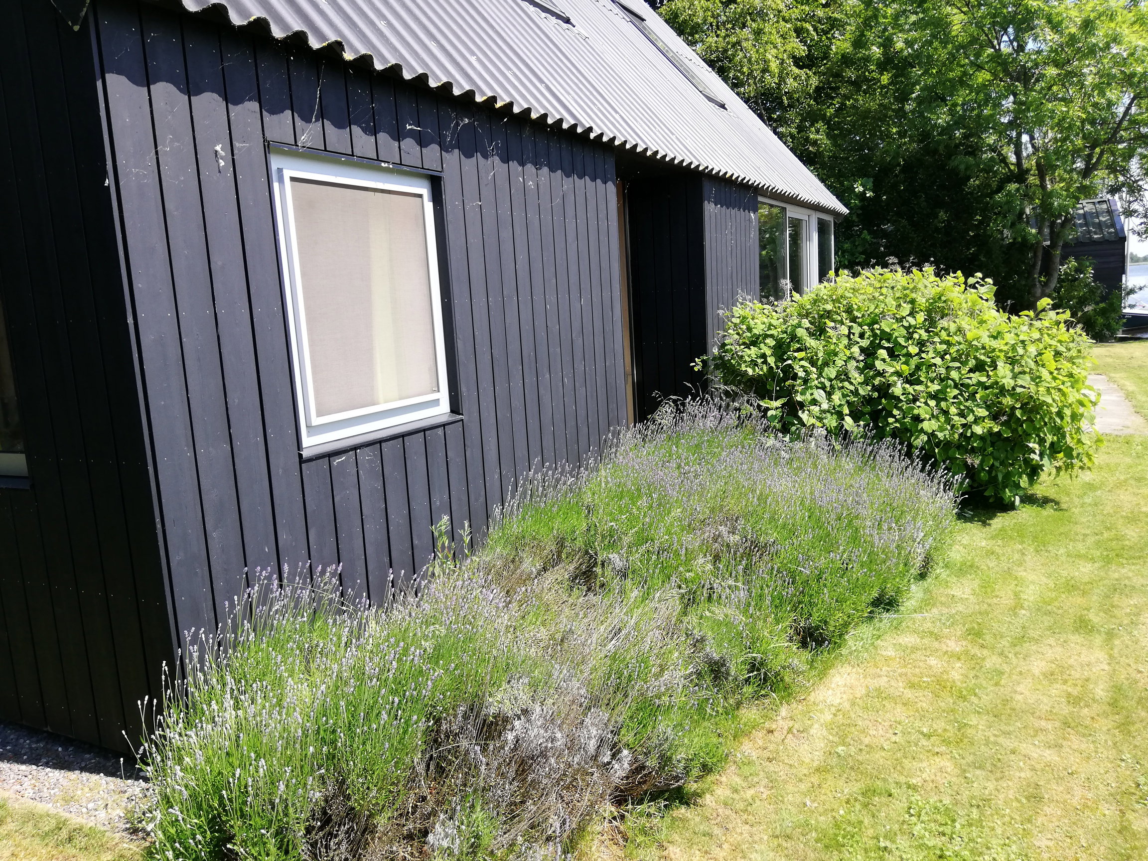 Maison nature à Midlaren