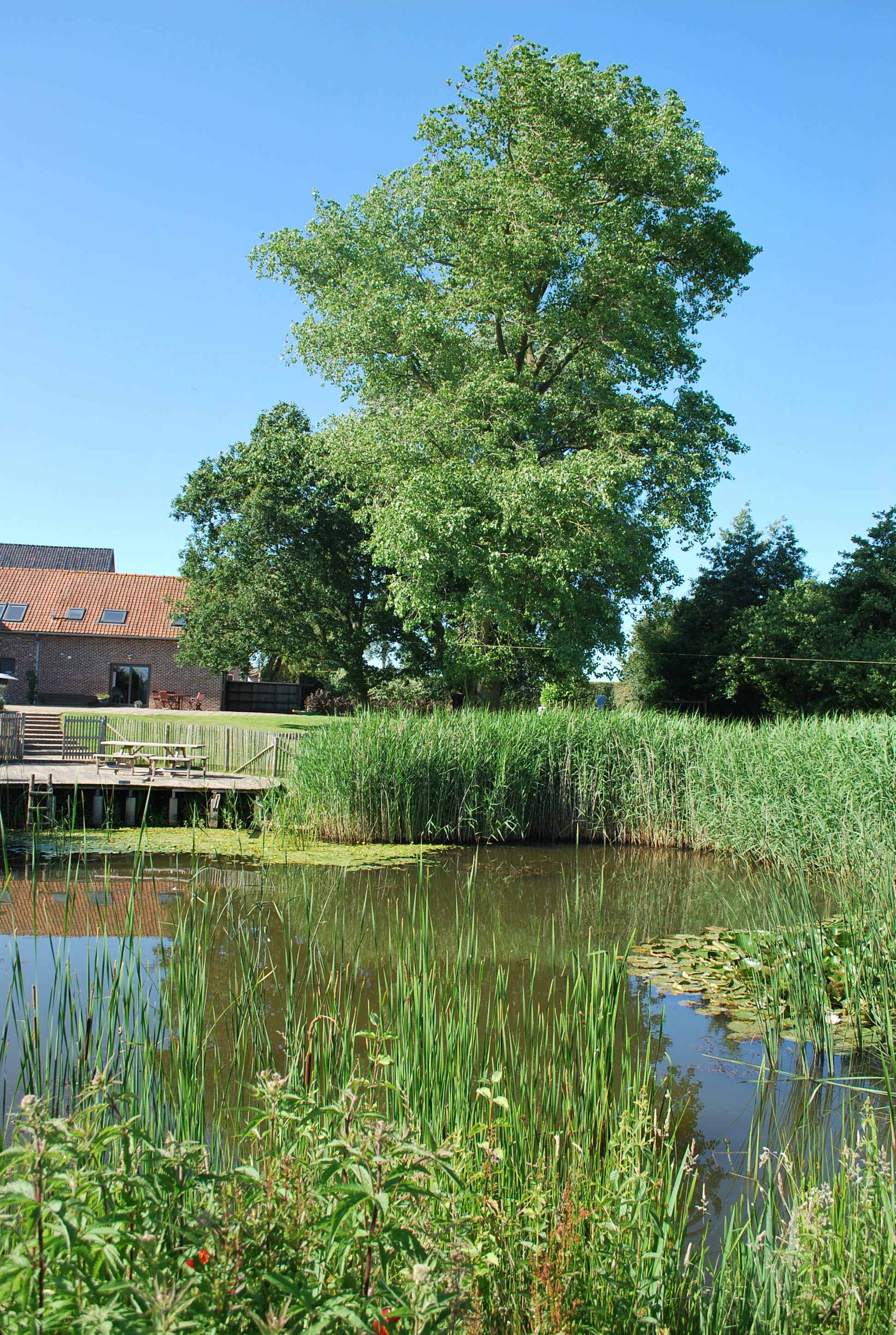Natuurhuisje in Watou