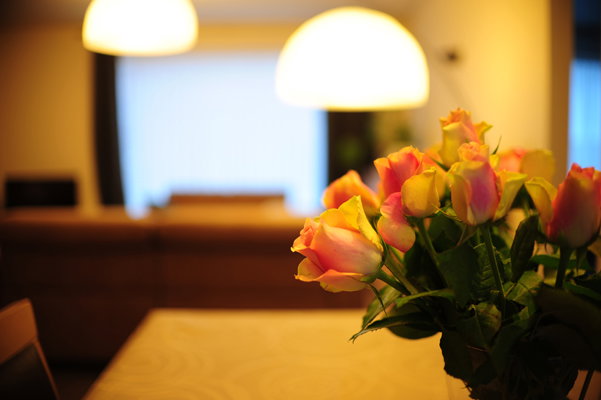 - image: 15