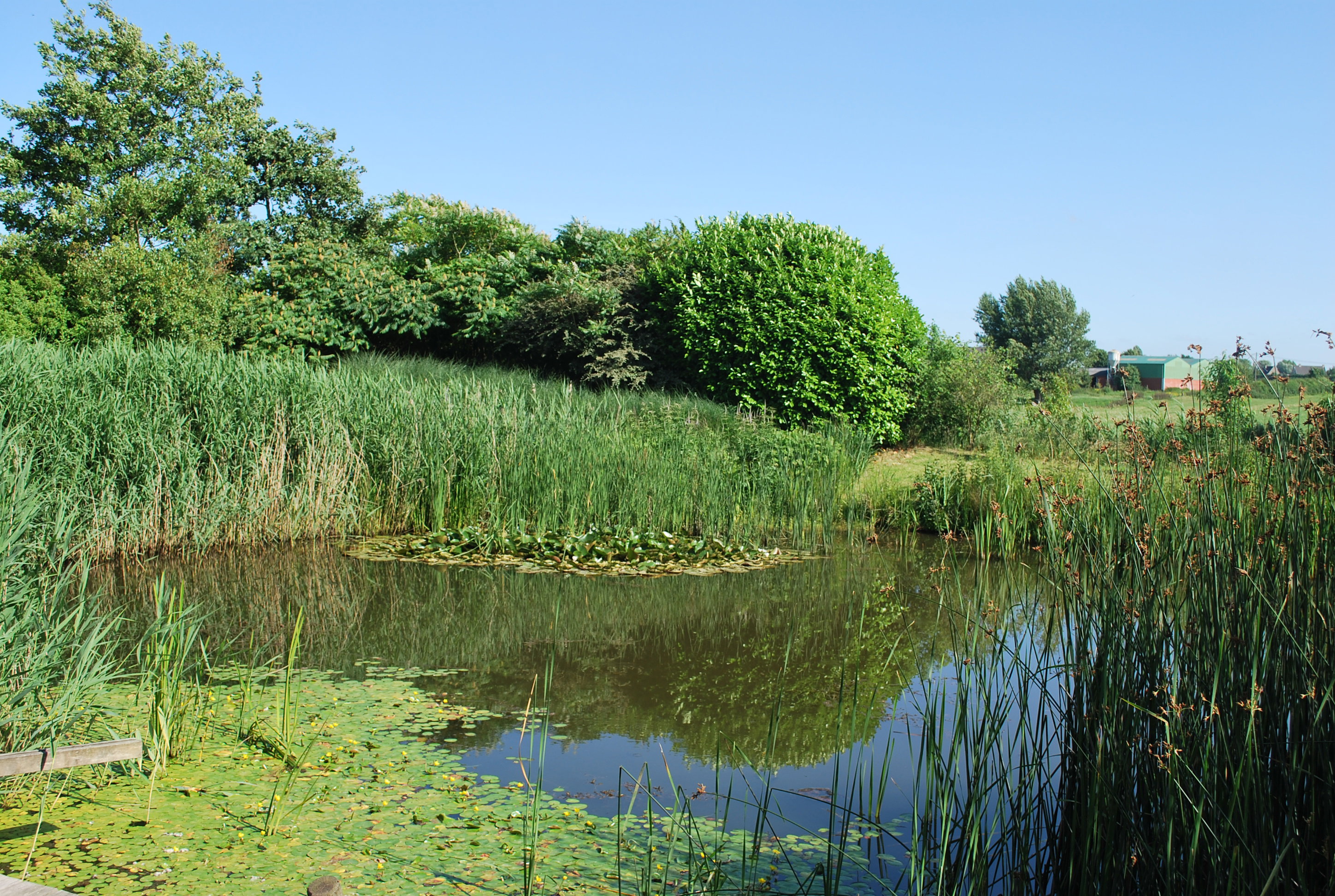 Natuurhuisje in Watou