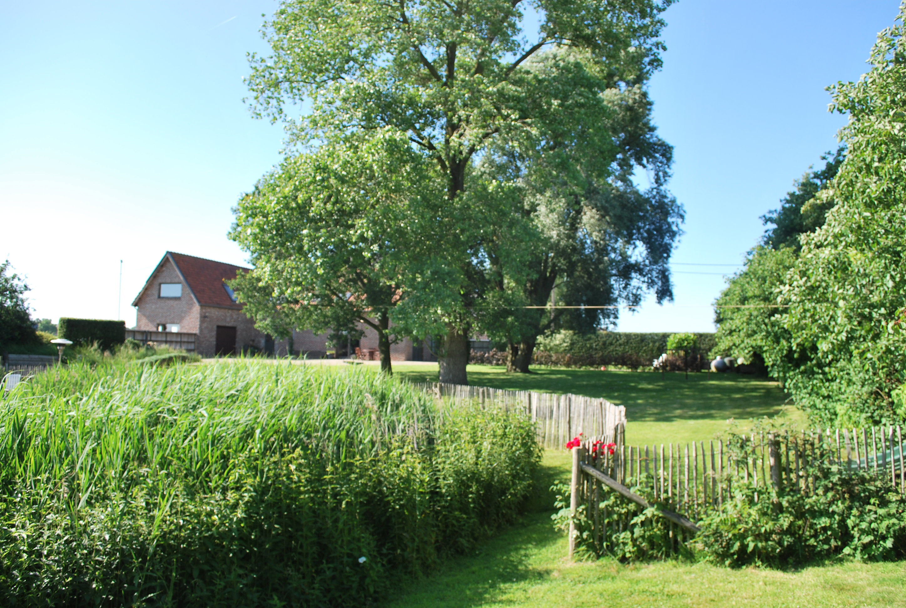 Natuurhuisje in Watou