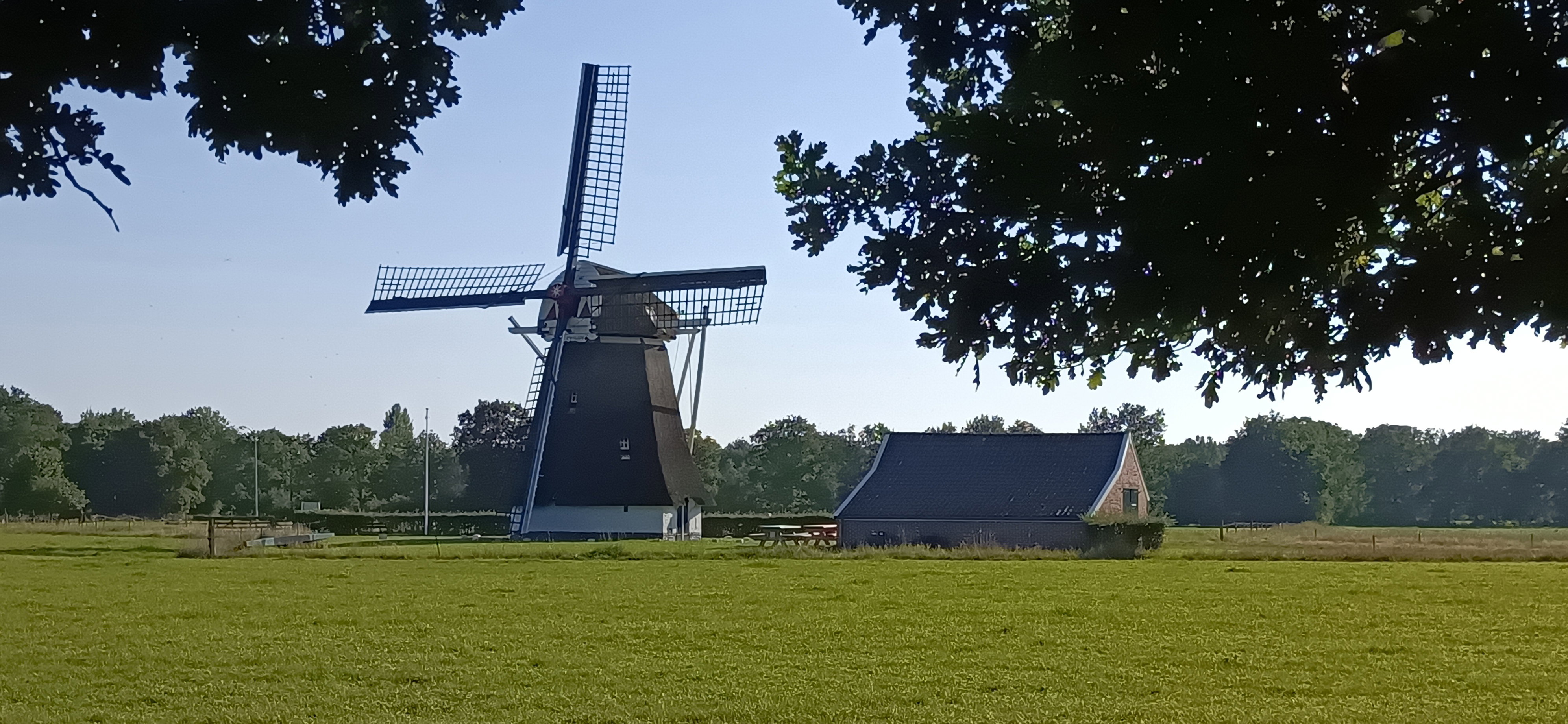 - image: 22