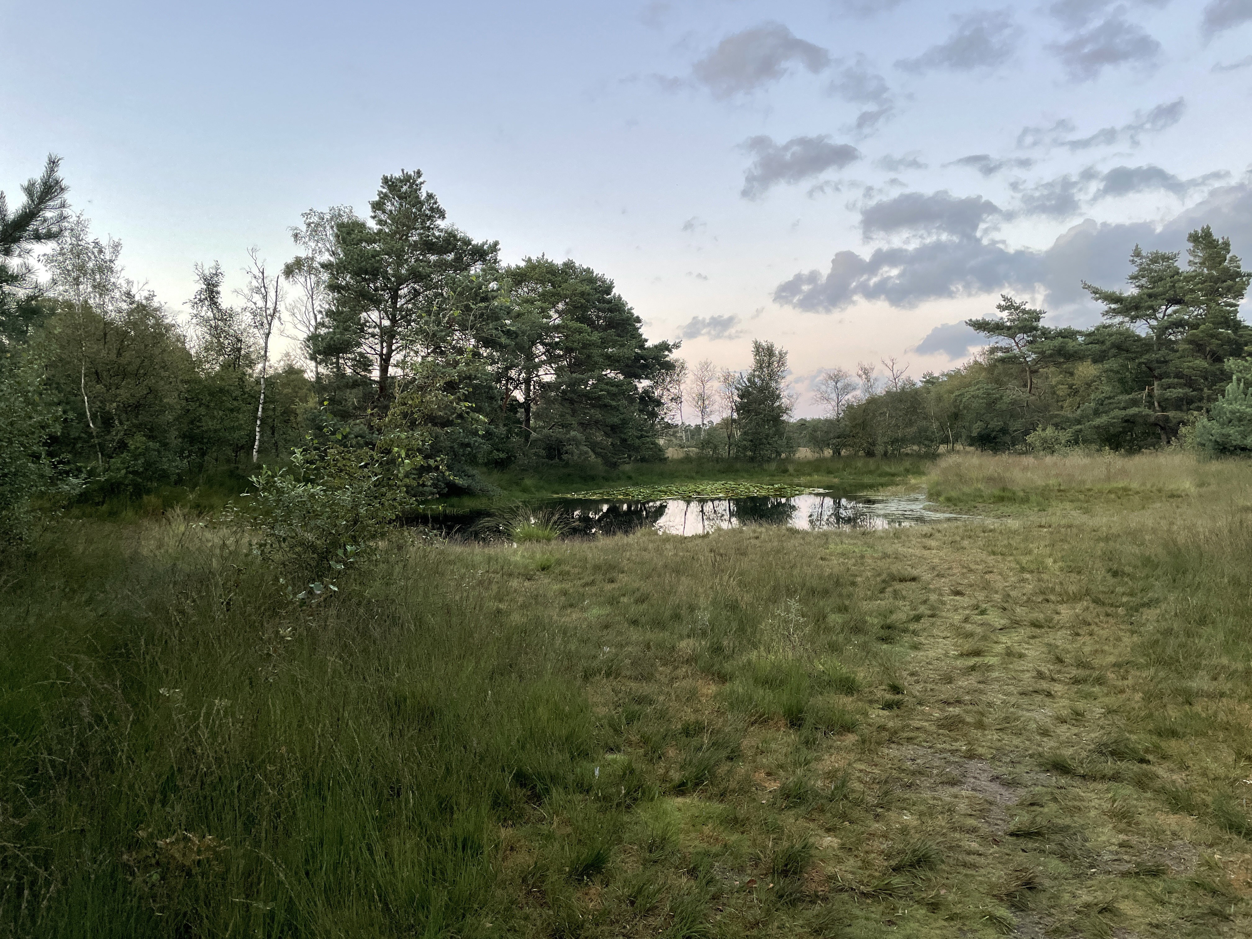 - image: 29