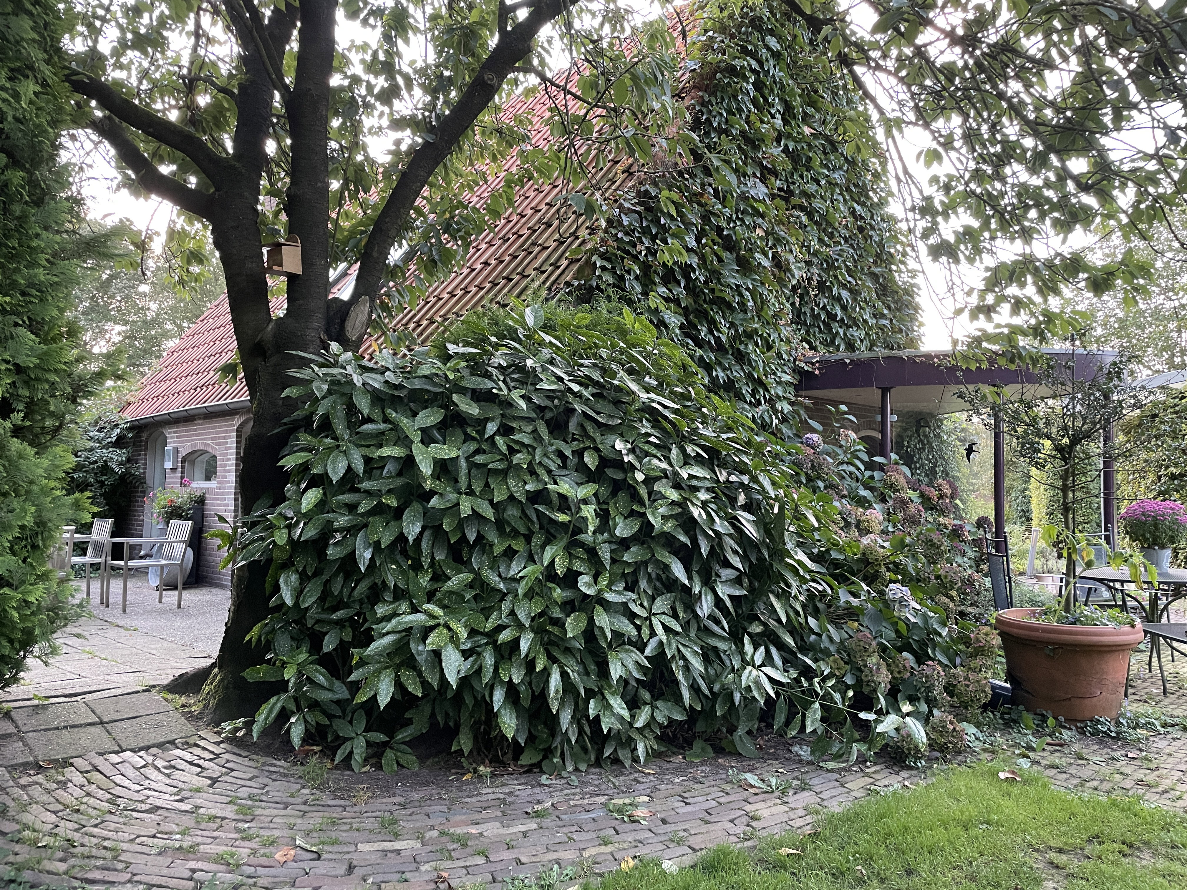Natuurhuisje in Nijkerk