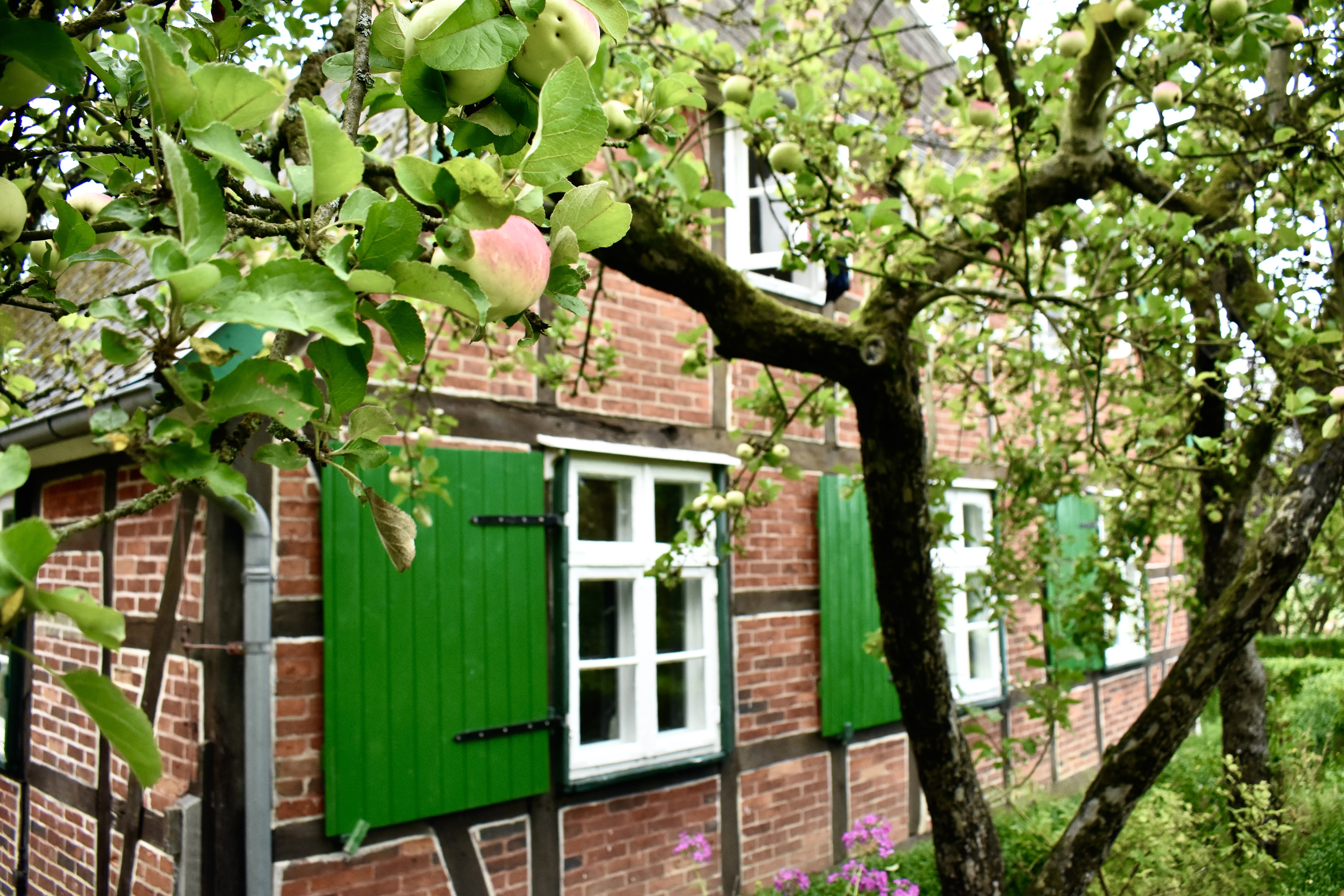 Naturhäuschen in Thomasburg