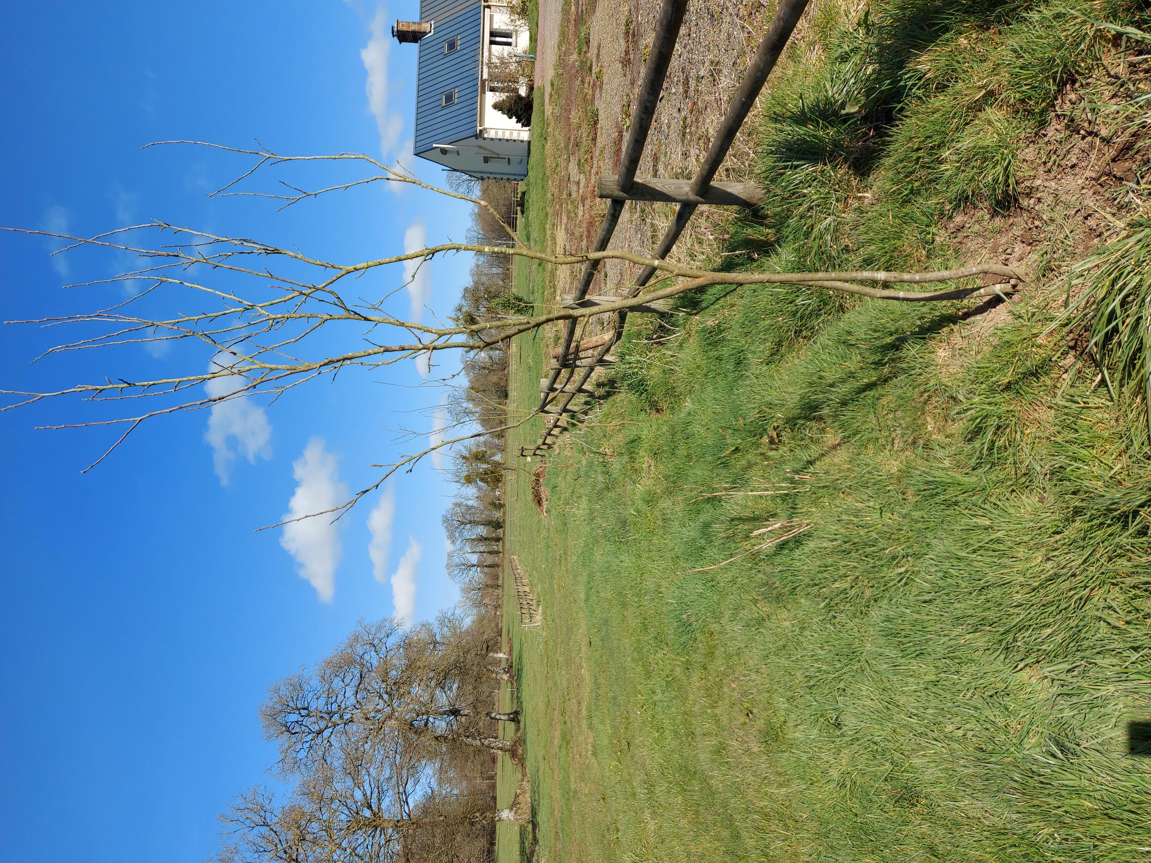 Casa nella natura a Vire Normandie