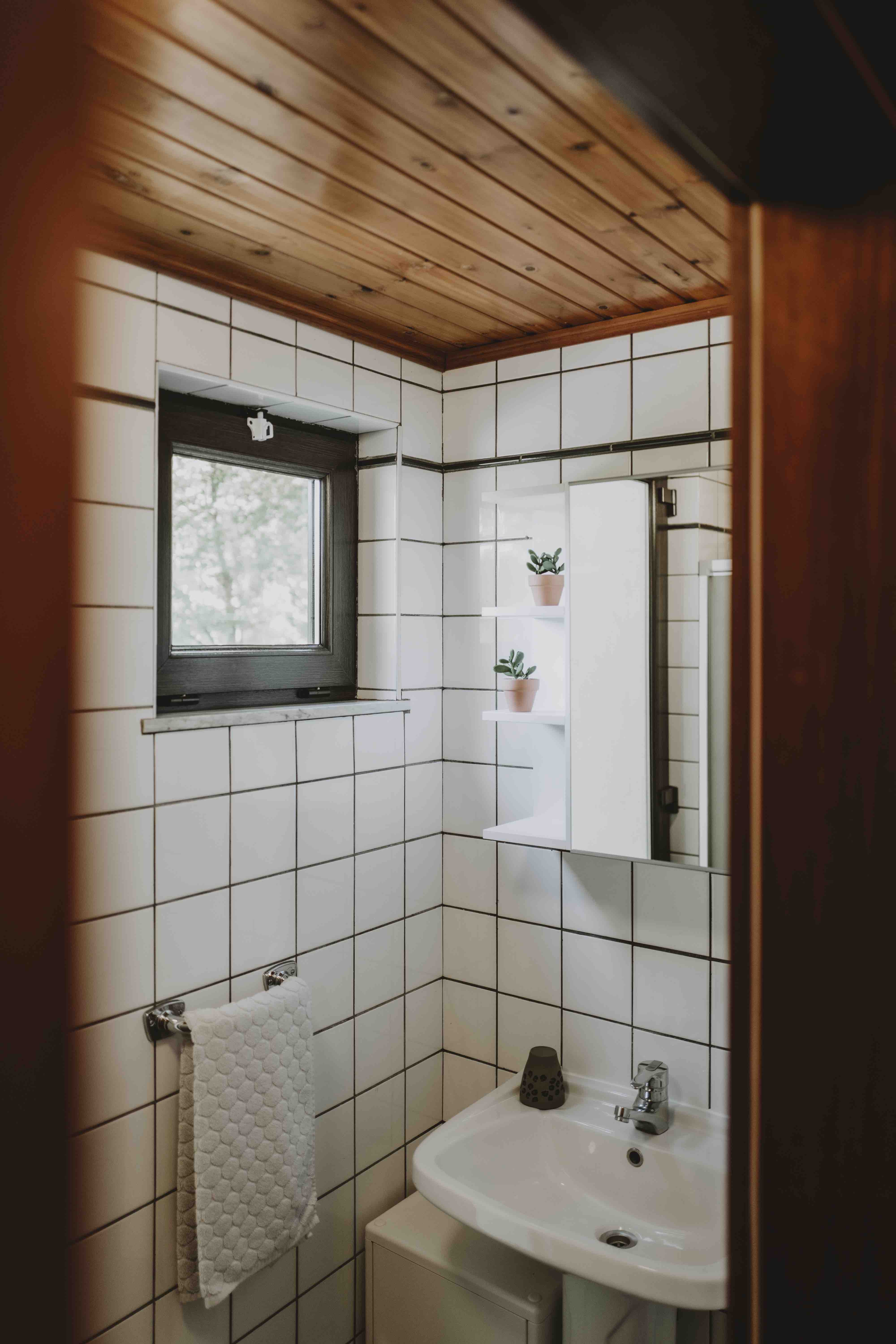 - image: 21