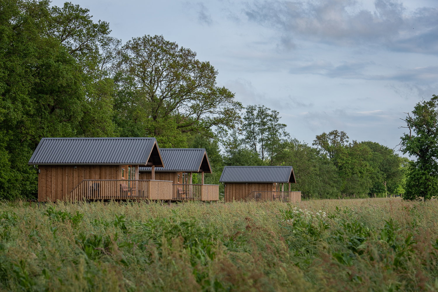 Natuurhuisje in Ruinerwold