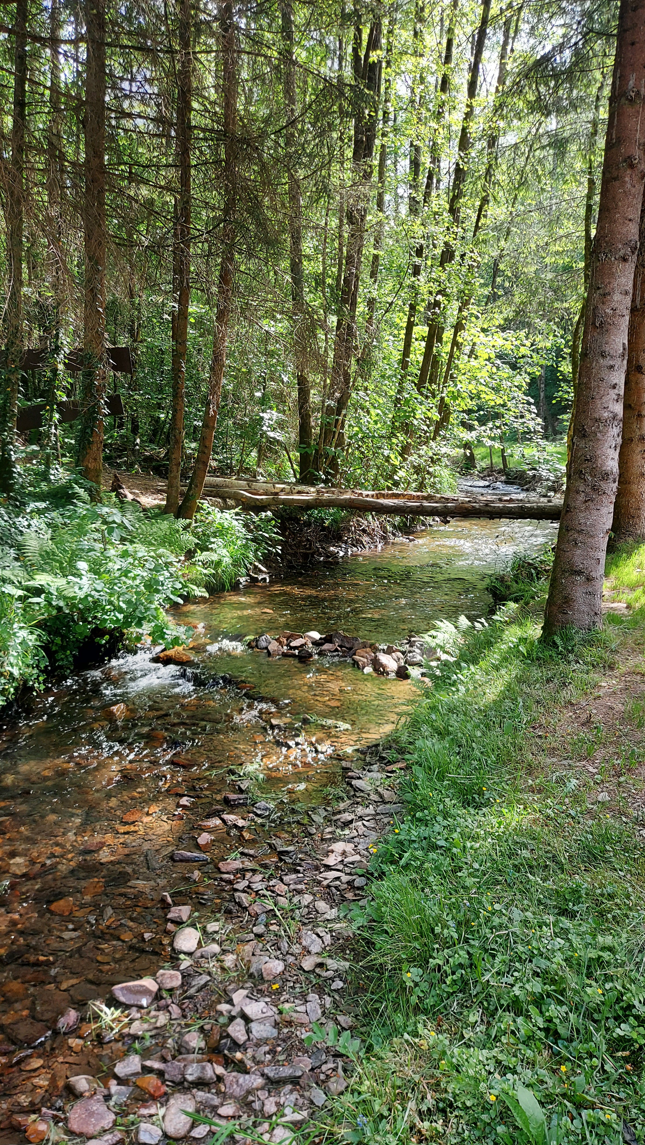Naturhäuschen in Muno