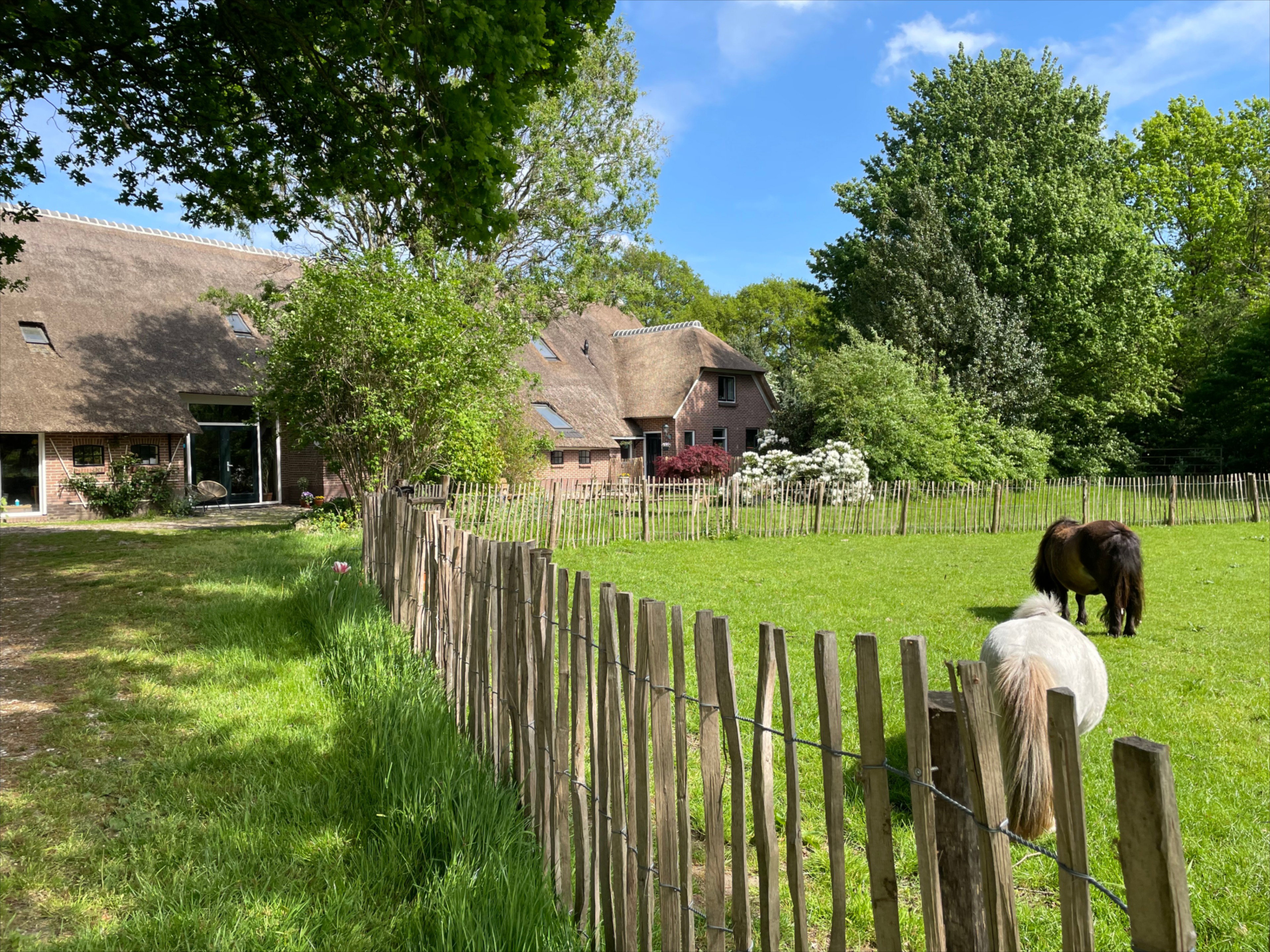 Naturhäuschen in Zwiggelte