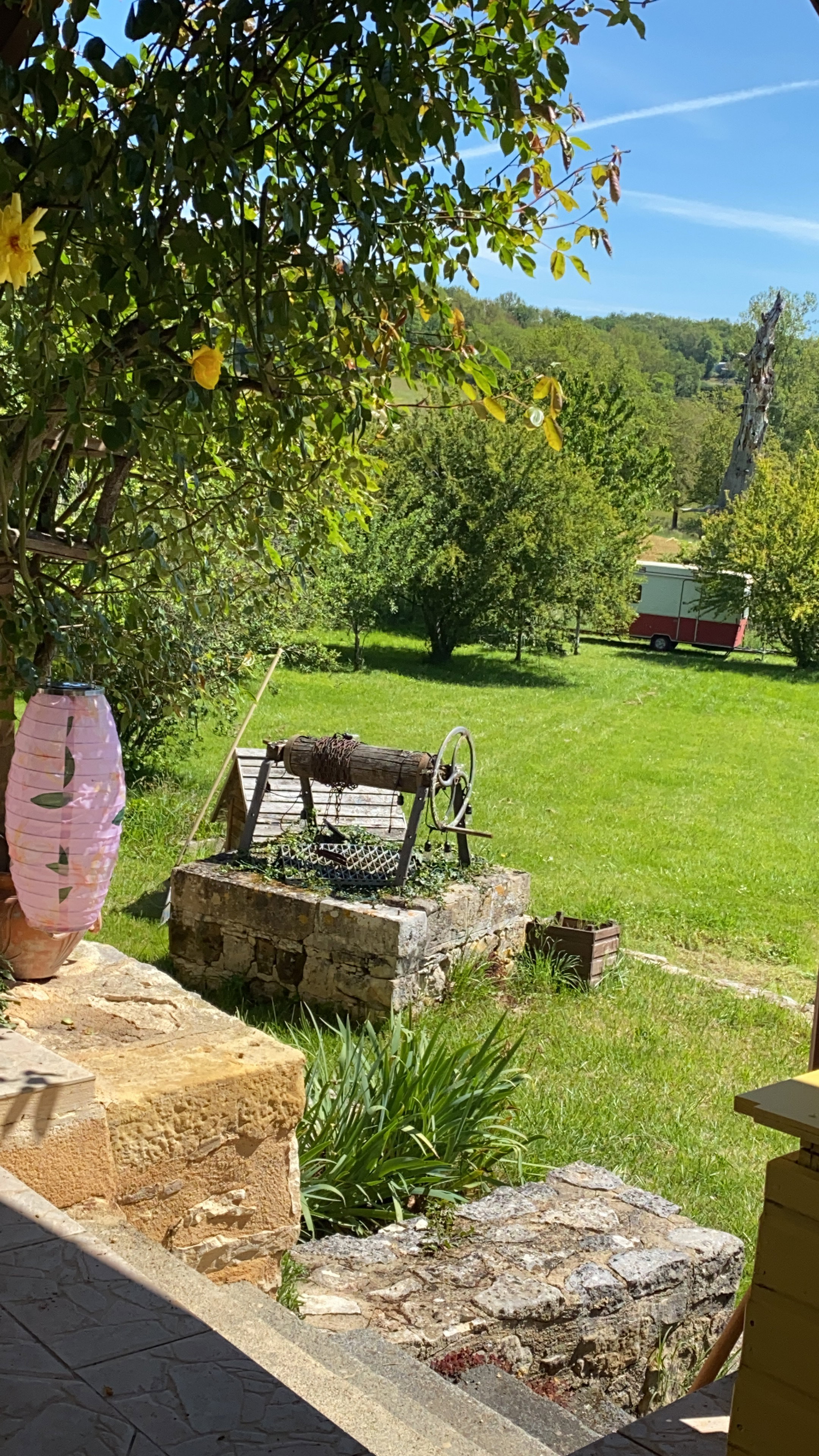 - image: 13