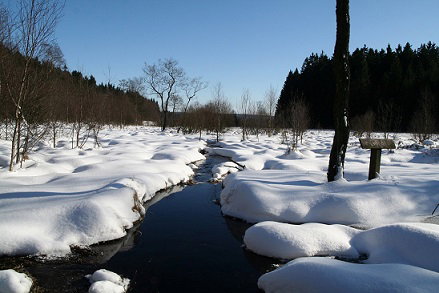 - image: 25