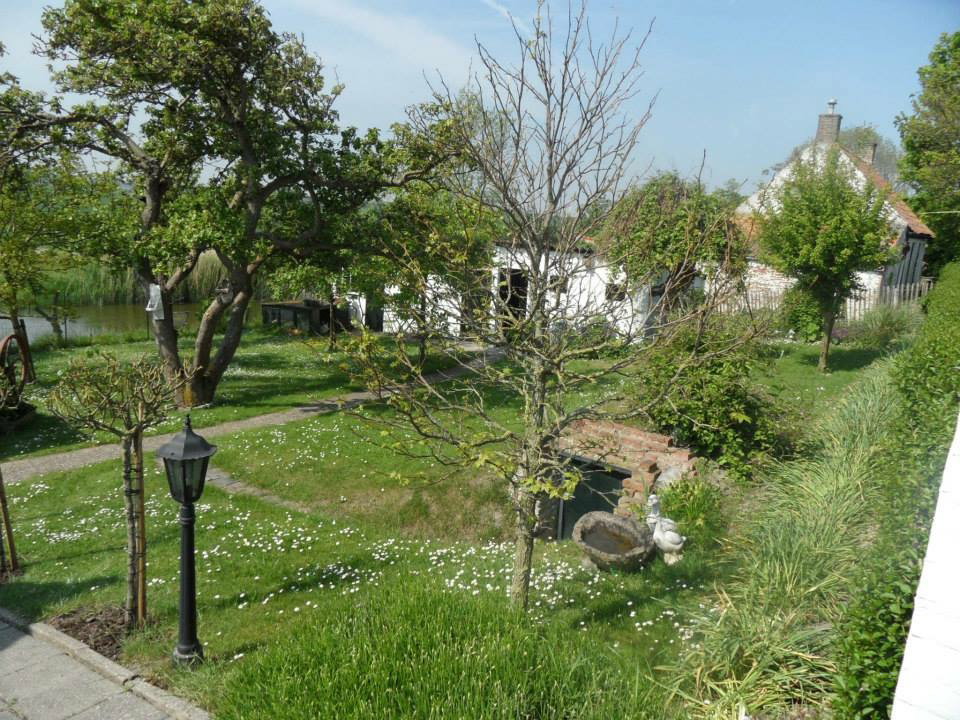 - image: 6