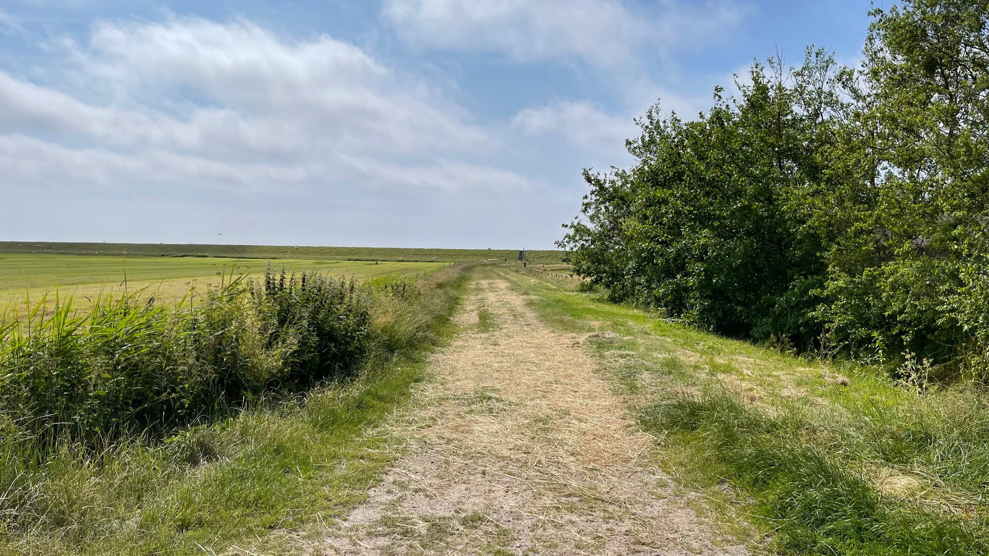 Natuurhuisje in Oosterend