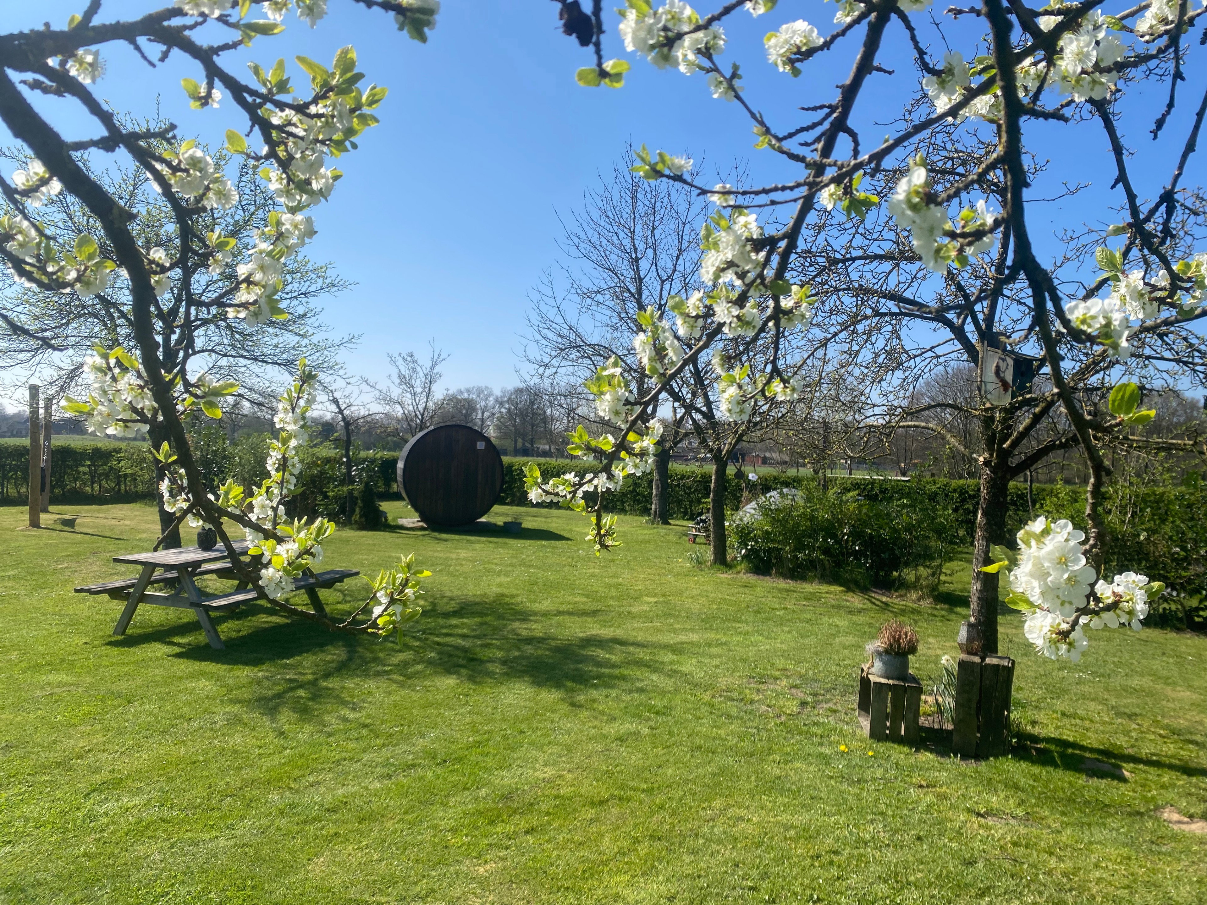 Natuurhuisje in Geesteren