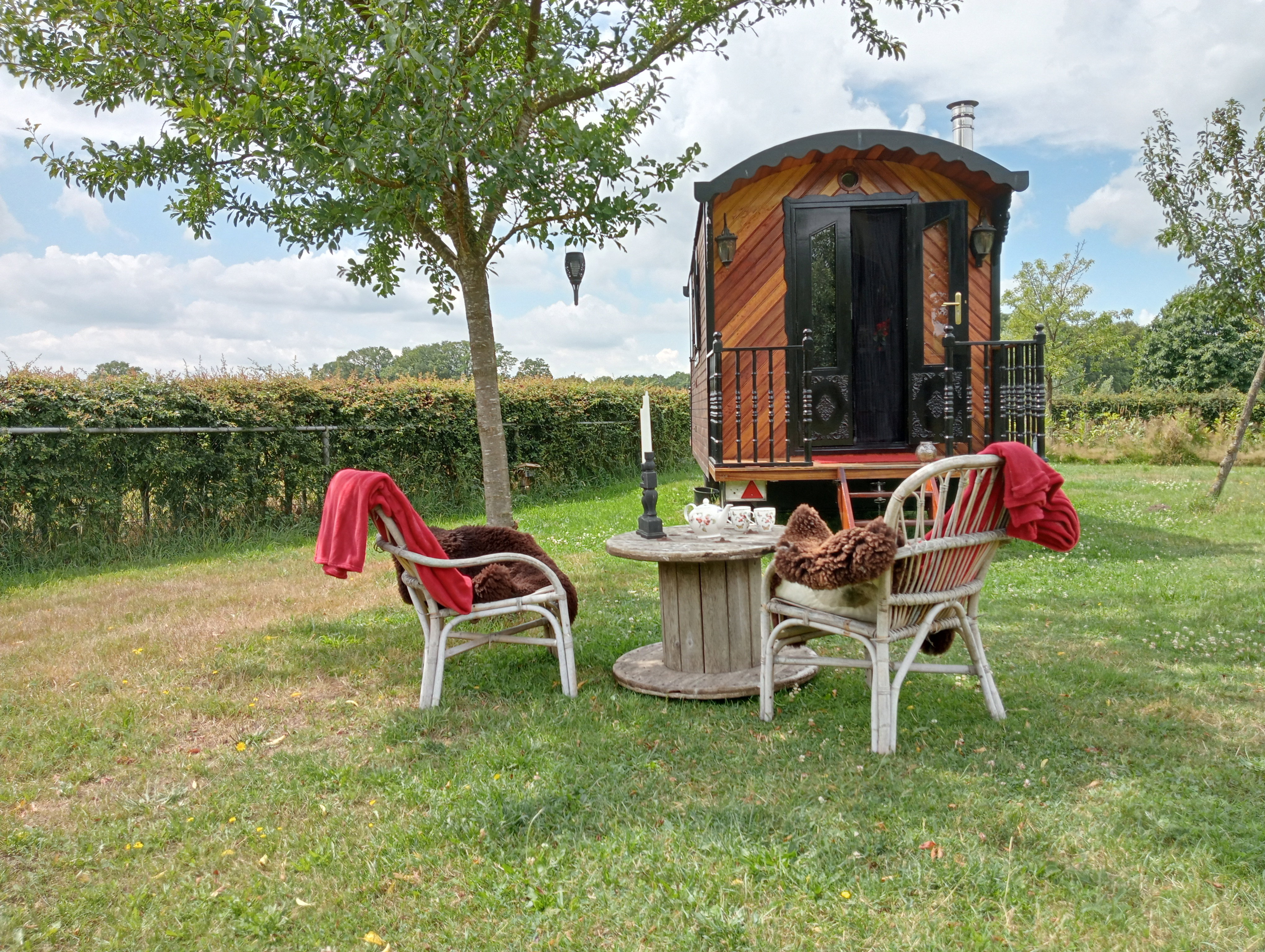 Natuurhuisje in Geesteren
