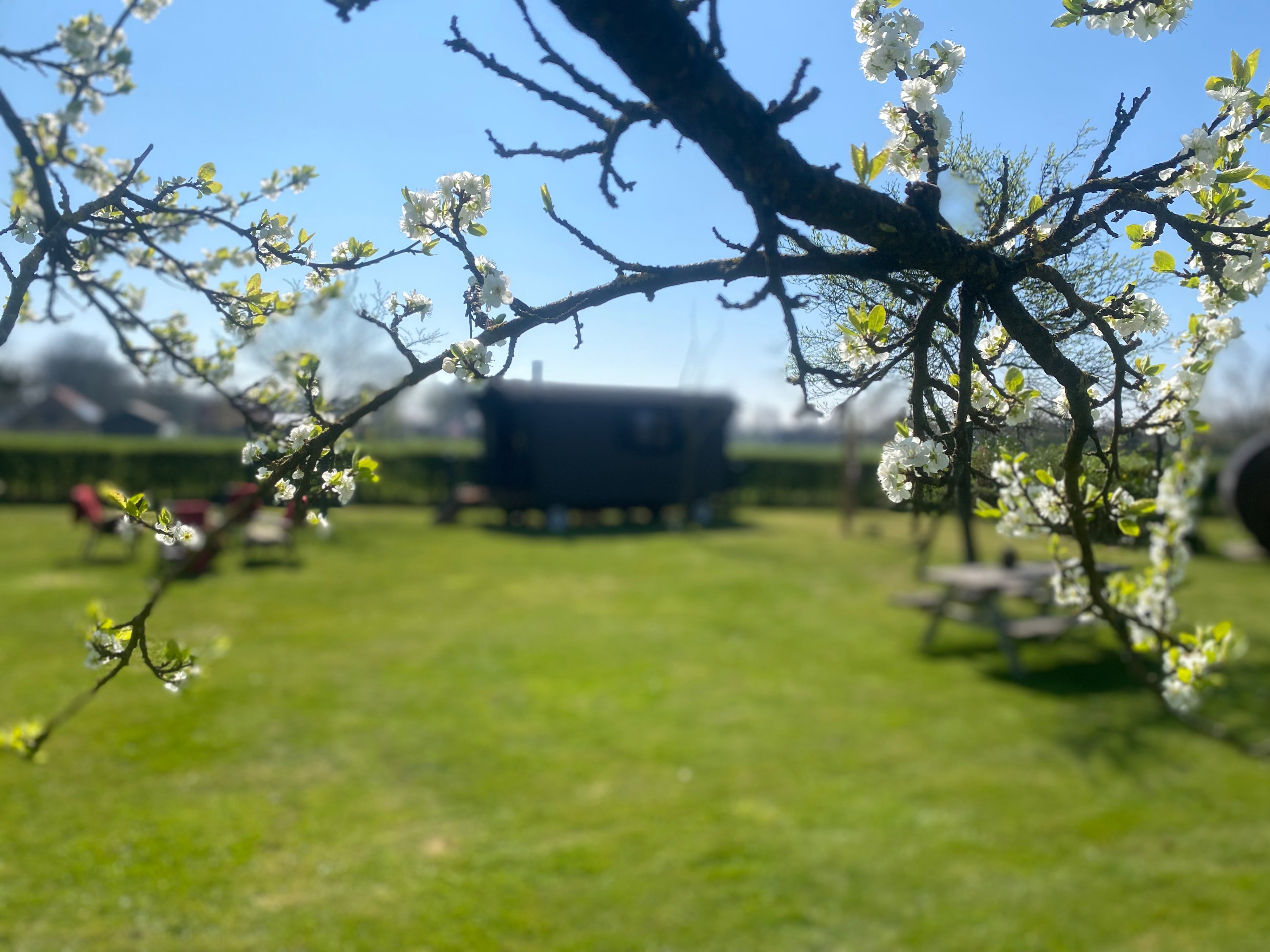 Natuurhuisje in Geesteren