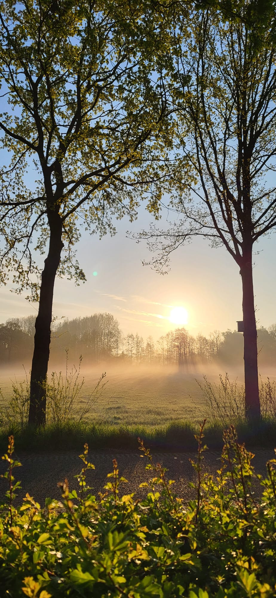 Natuurhuisje in Geesteren
