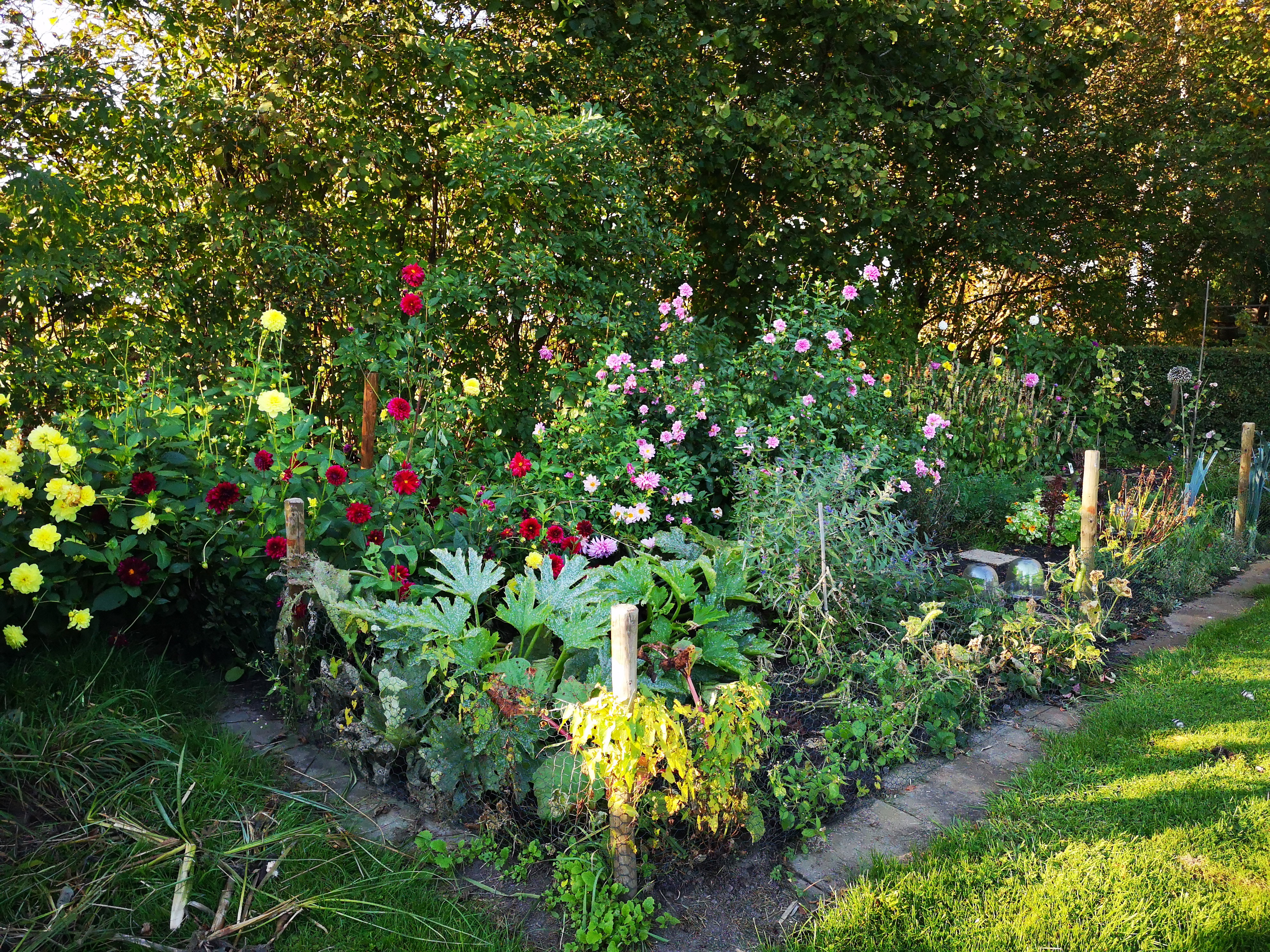 Natuurhuisje in Wittelte