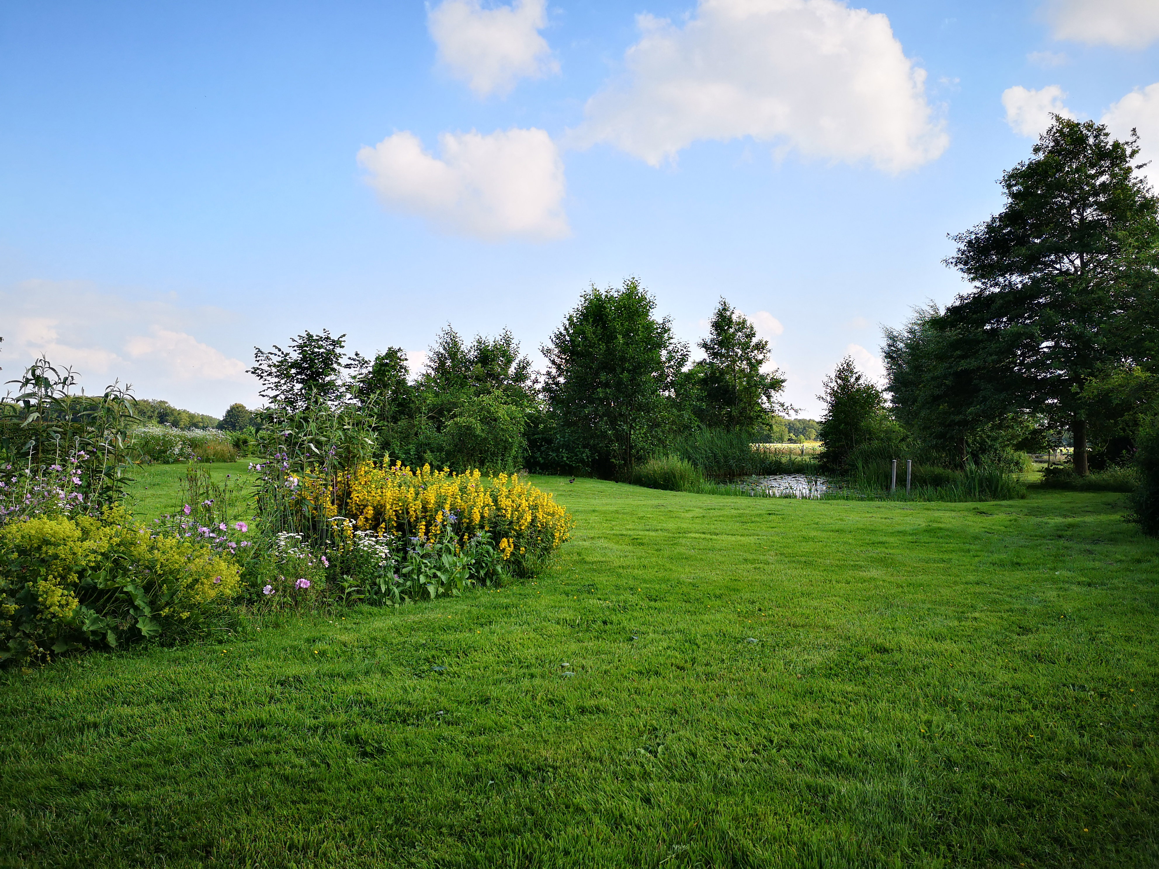 Natuurhuisje in Wittelte