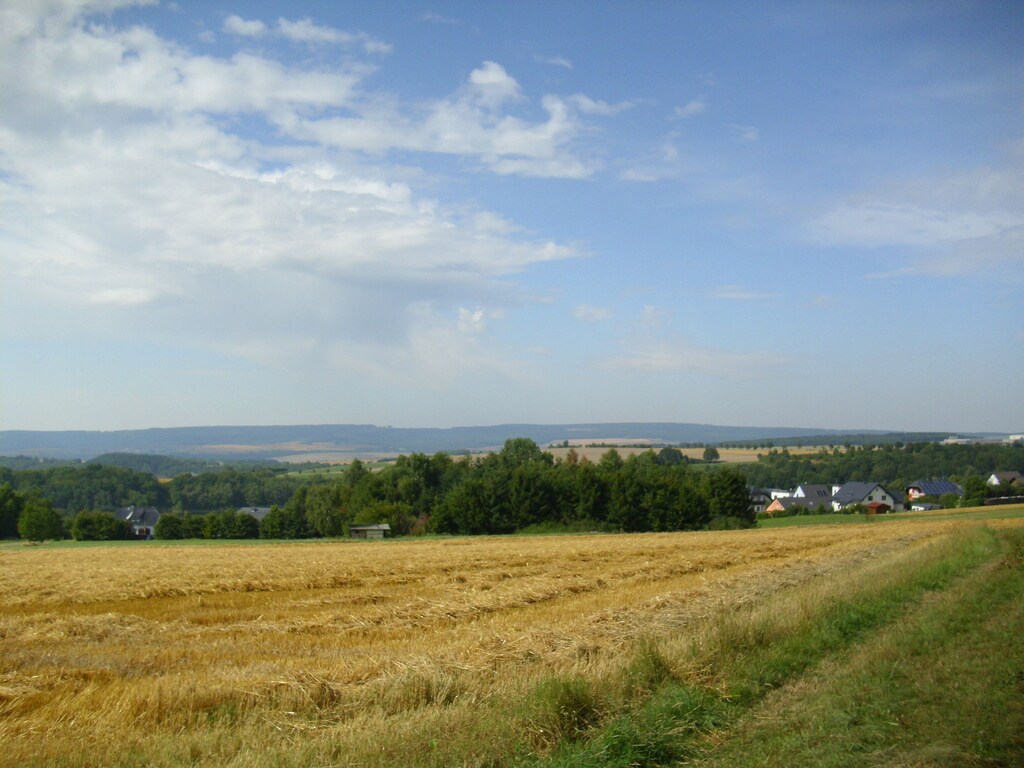 - image: 11