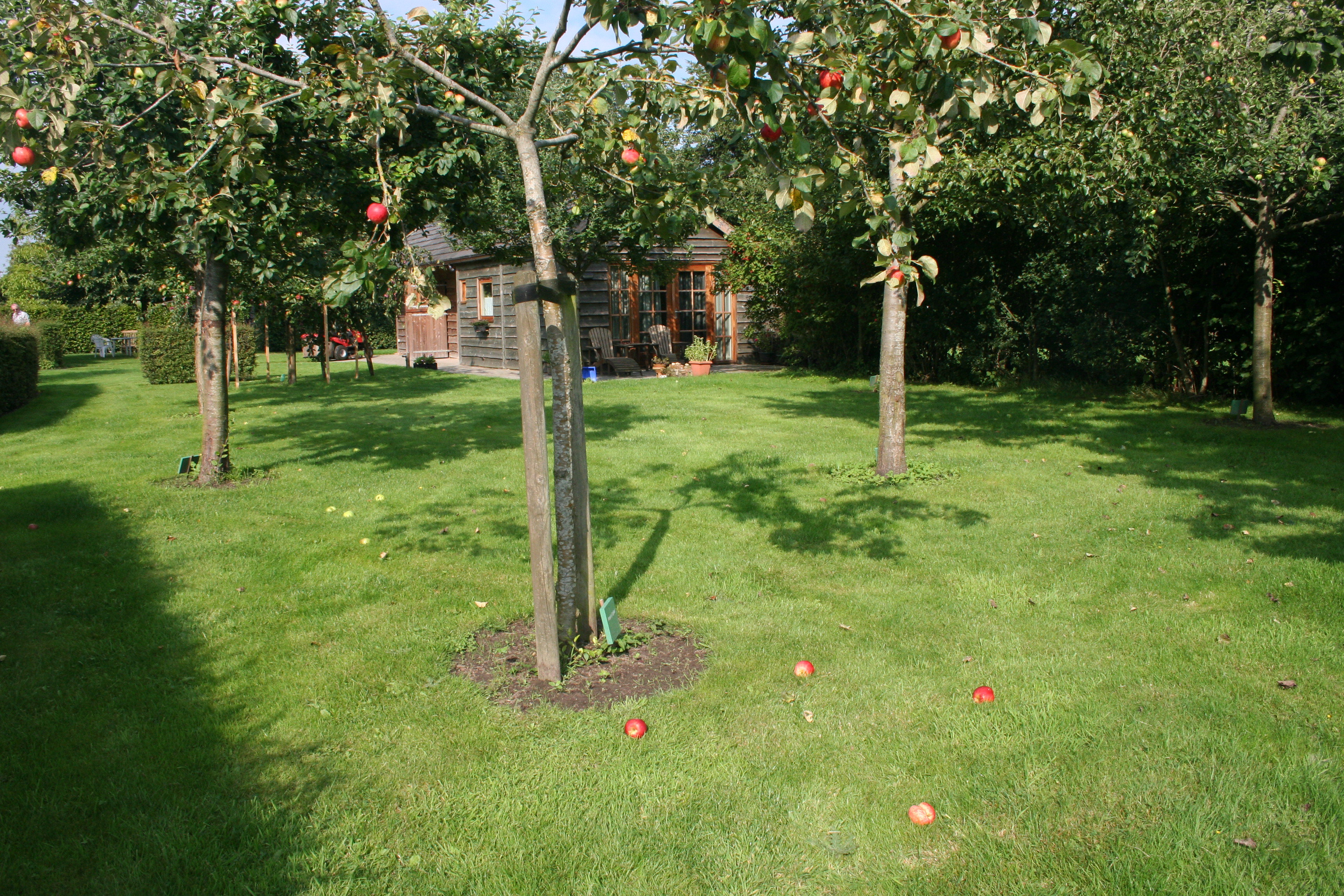 Natuurhuisje in Wittelte