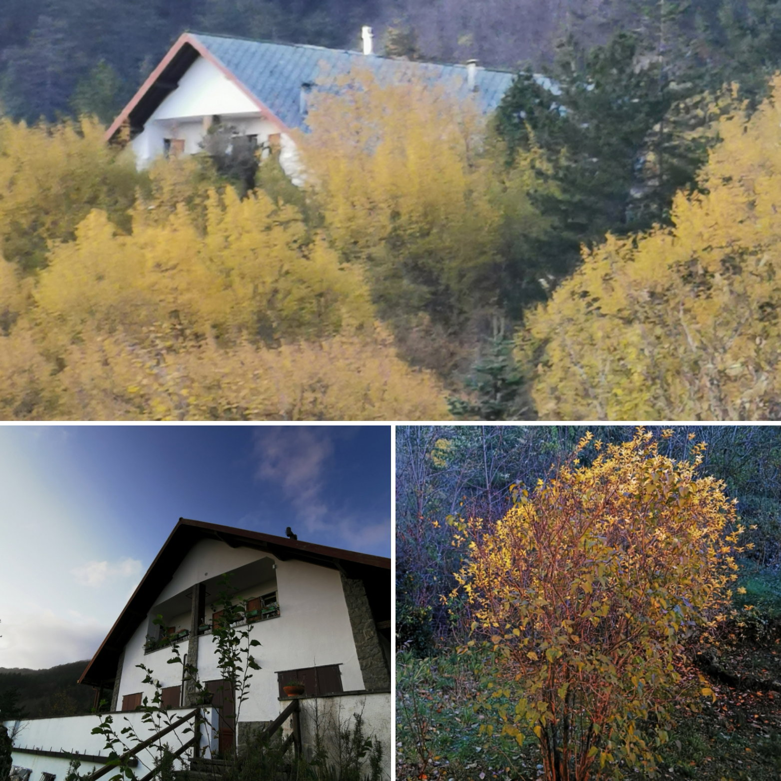 Casa nella natura a Borzonasca